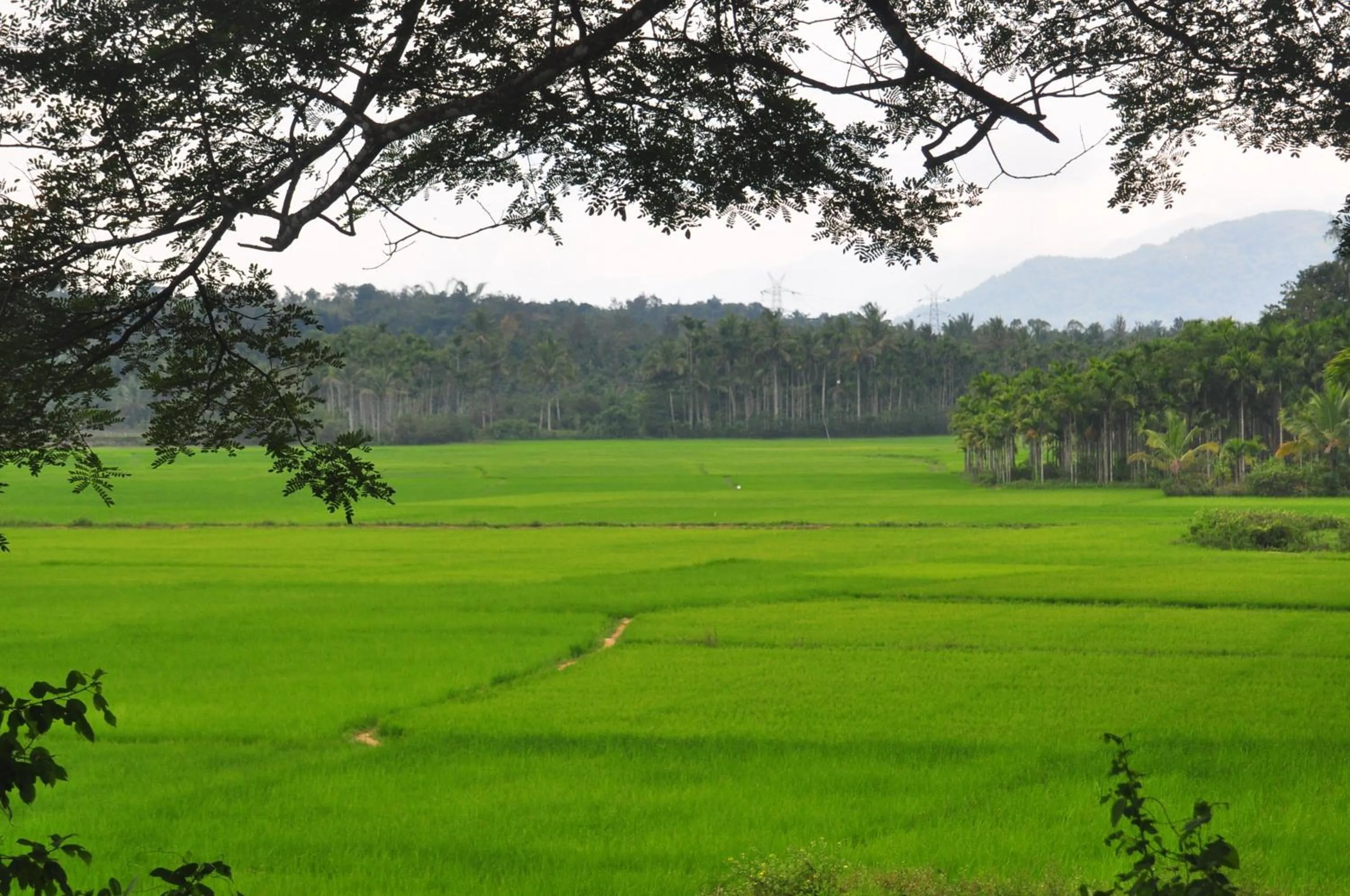 Other in Century Grand Hotel