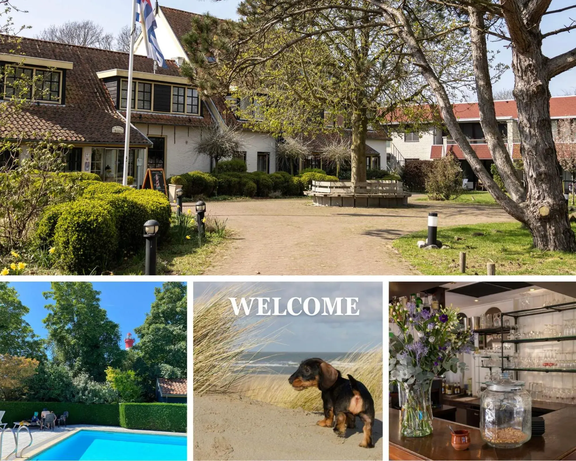 Hotel De Torenhoeve Hotel De Torenhoeve