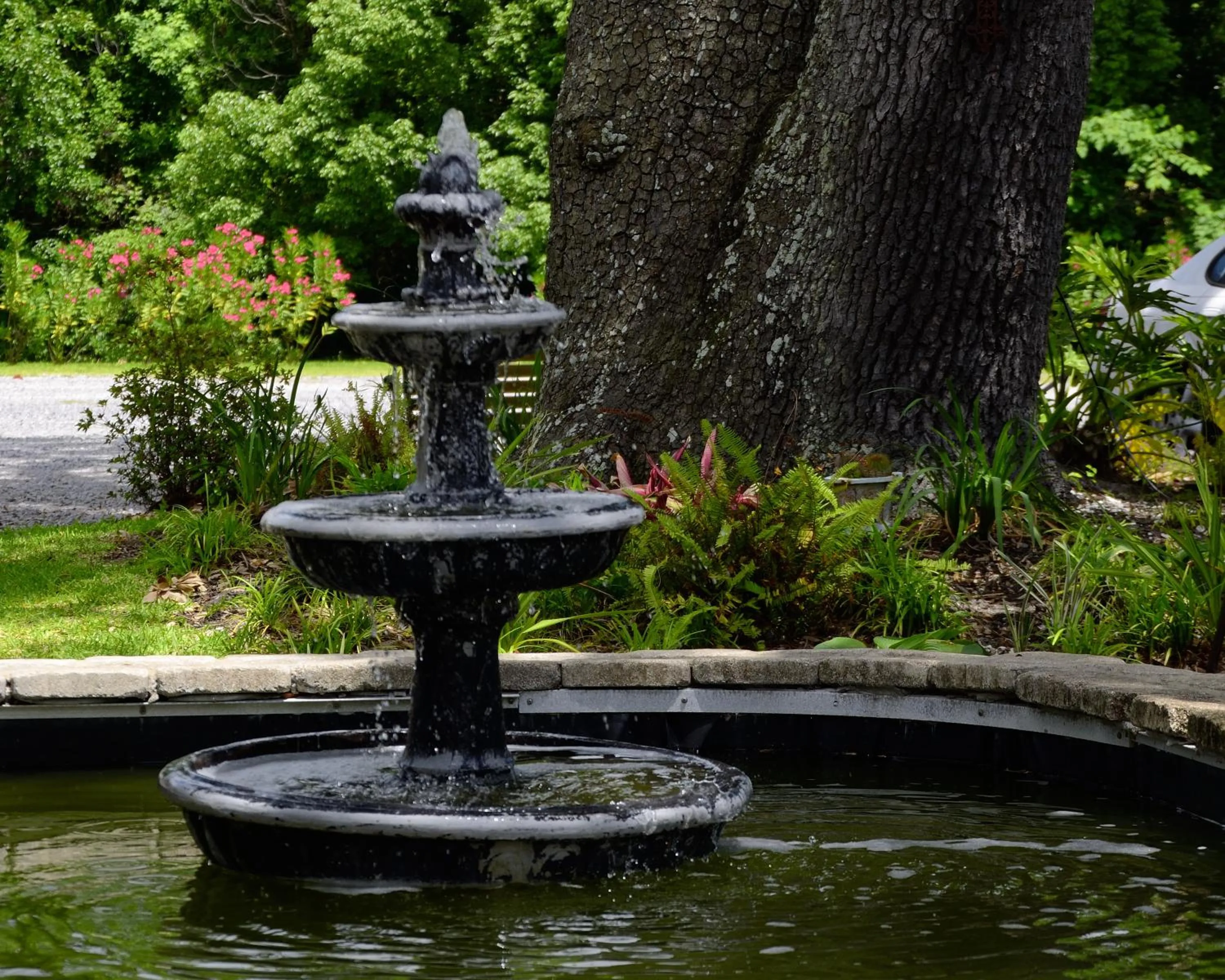 Other in Grand Magnolia Ballroom & Suites