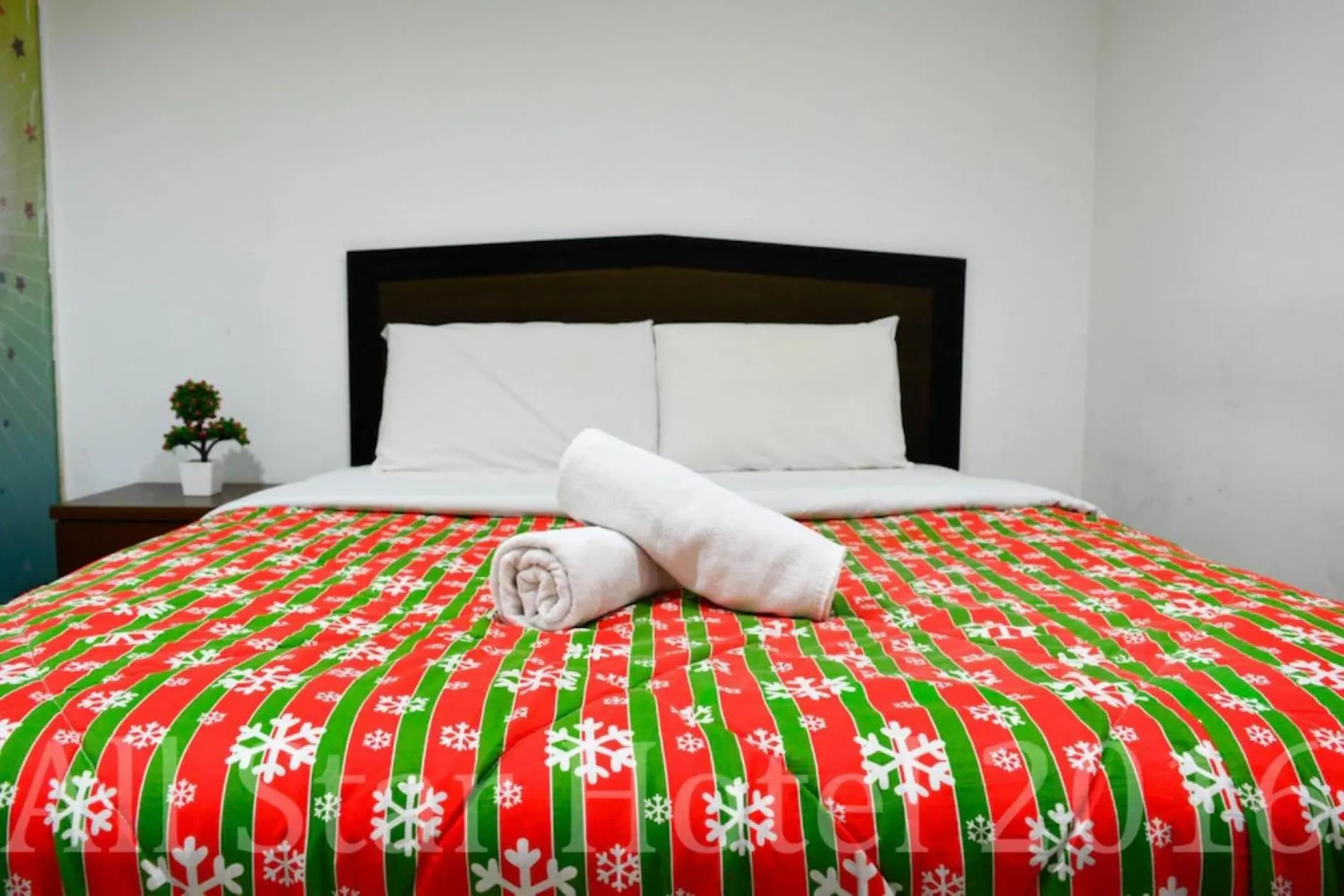 Photo of the whole room in All Star Hotel