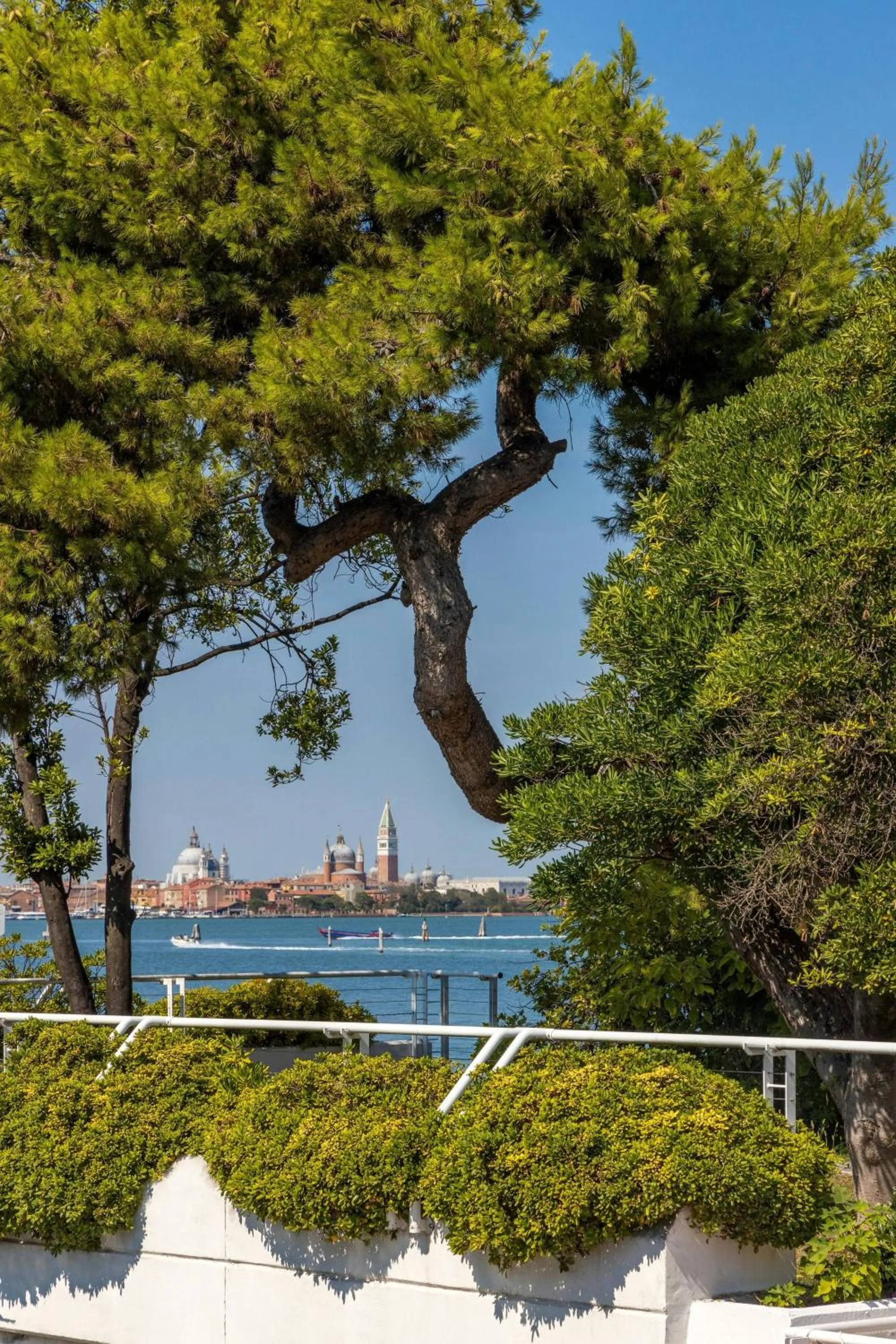 View (from property/room) in JW Marriott Venice Resort & Spa