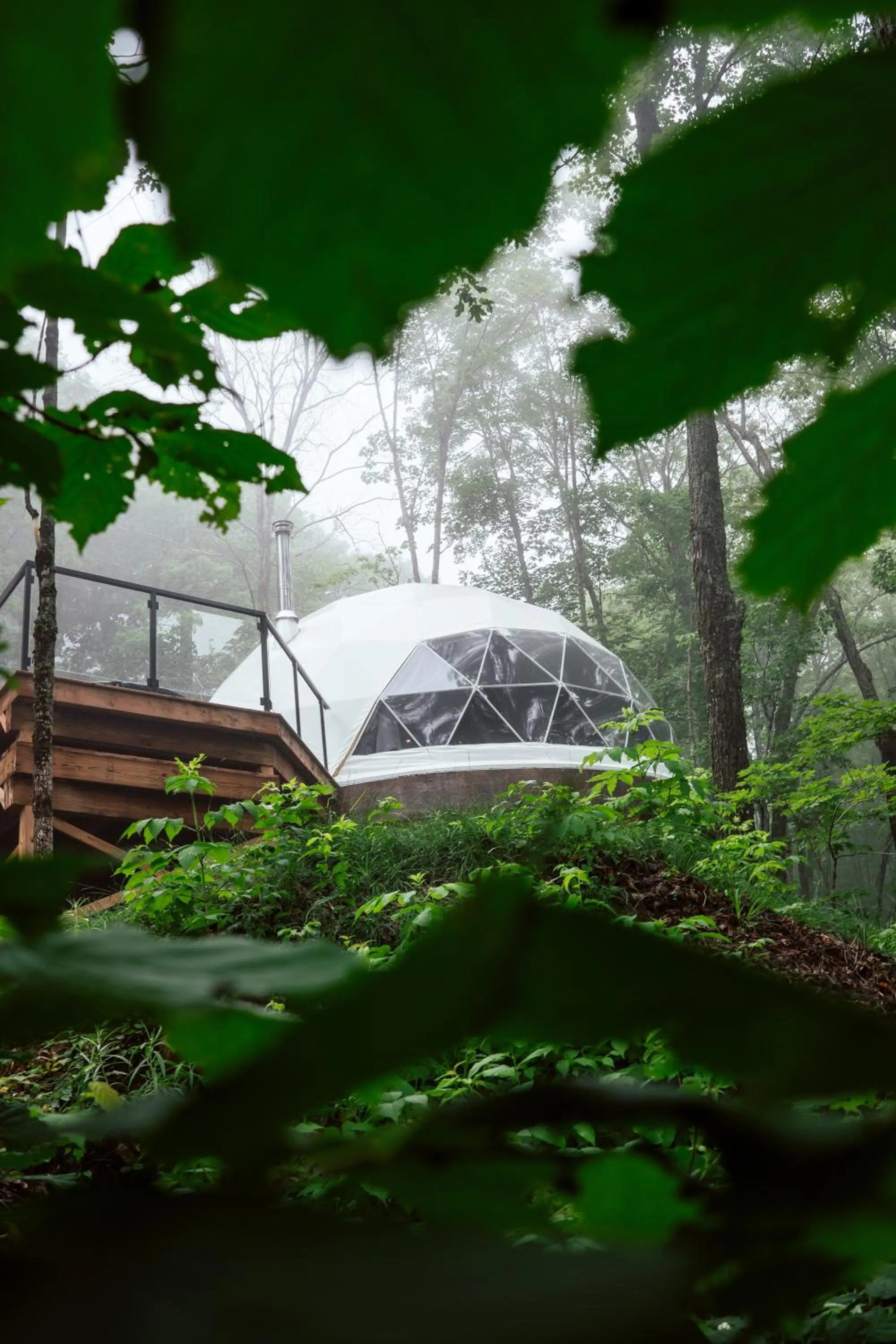 Natural landscape in Dômes Charlevoix