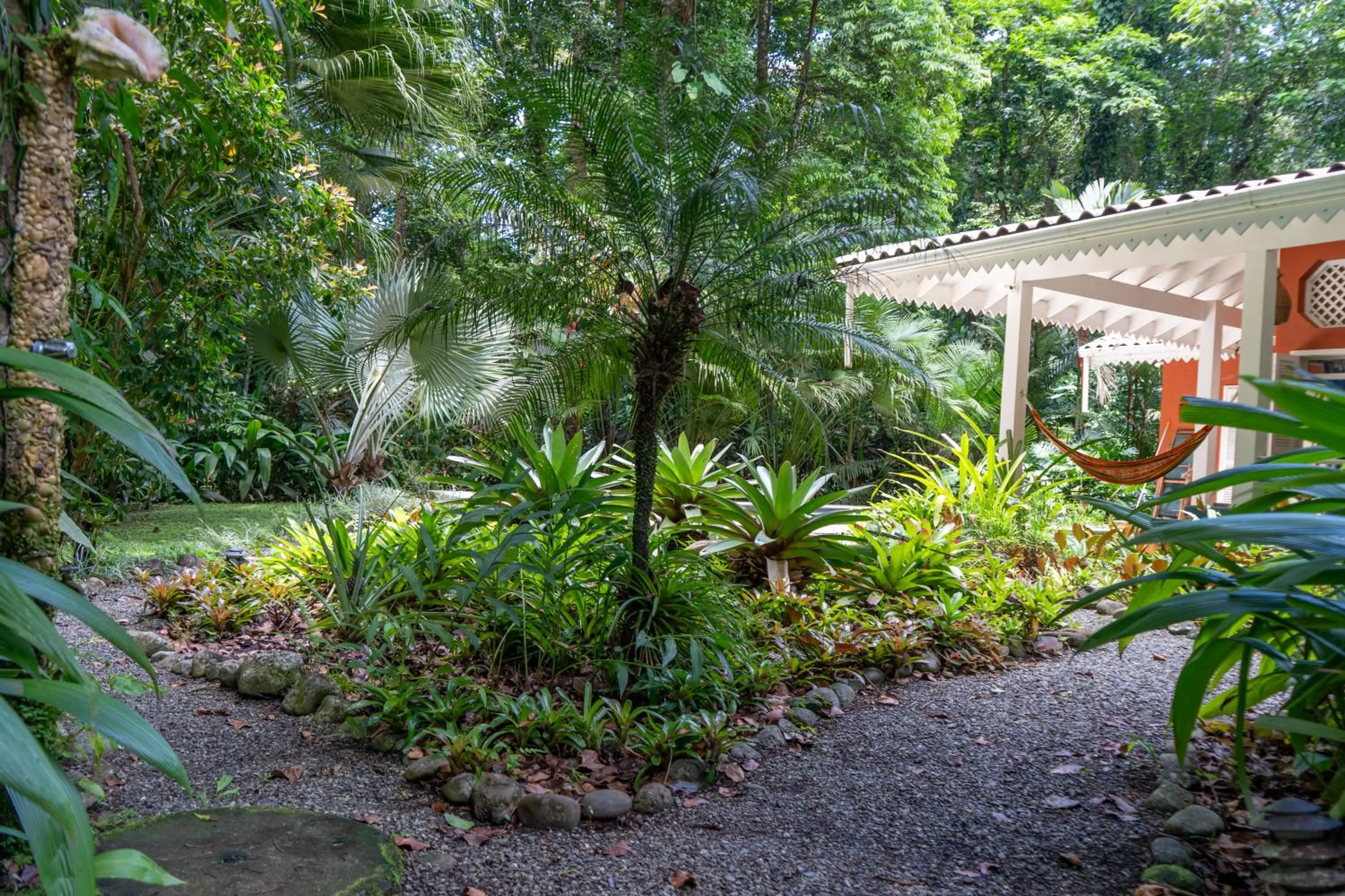 Spring in Casa Naranja