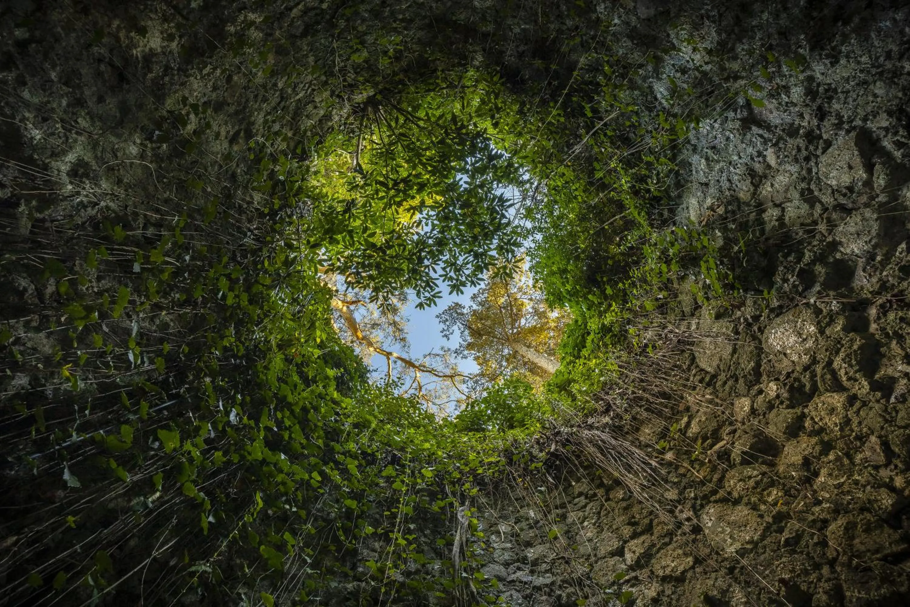 Garden in Sintra Marmoris Palace