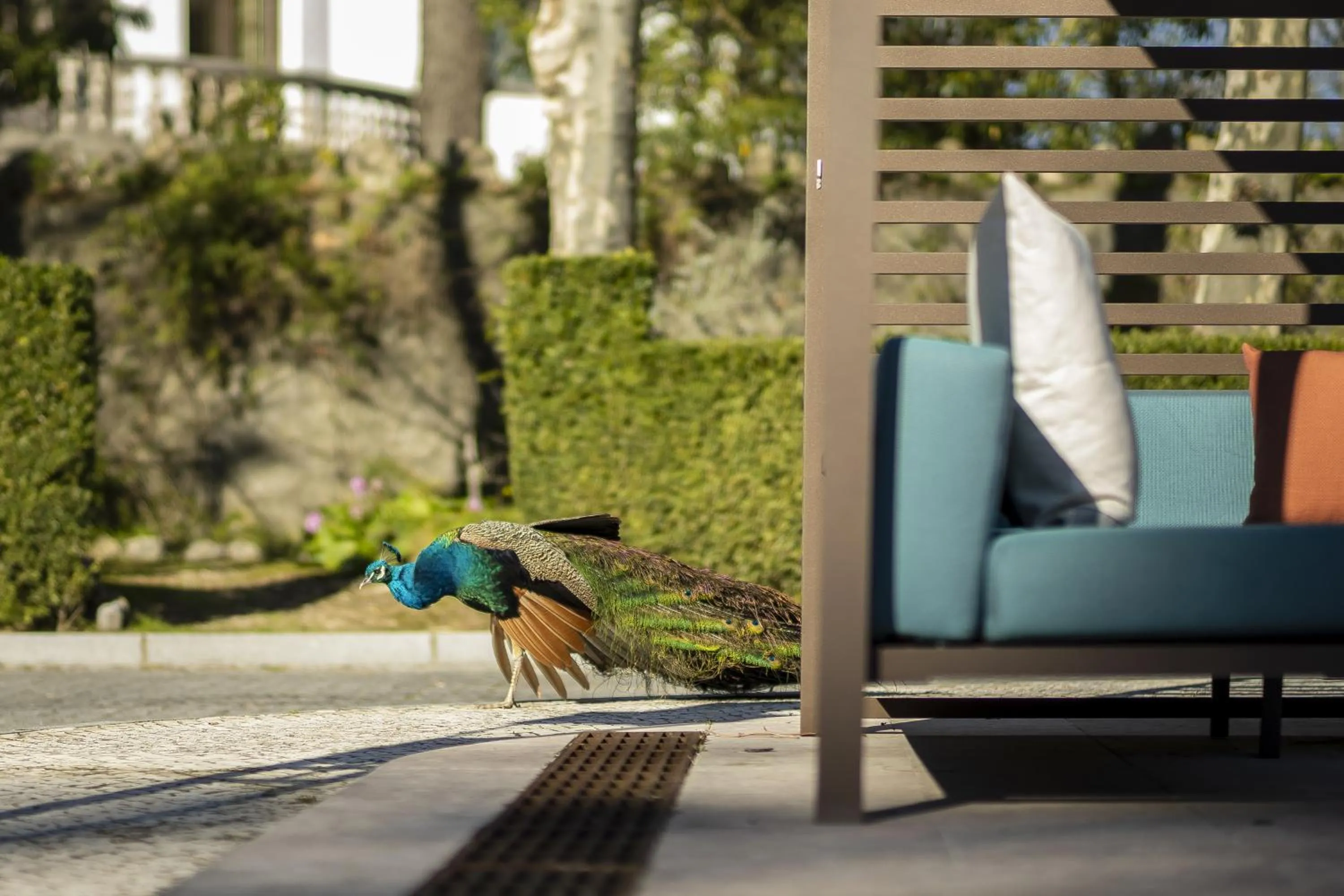 Day in Sintra Marmoris Palace