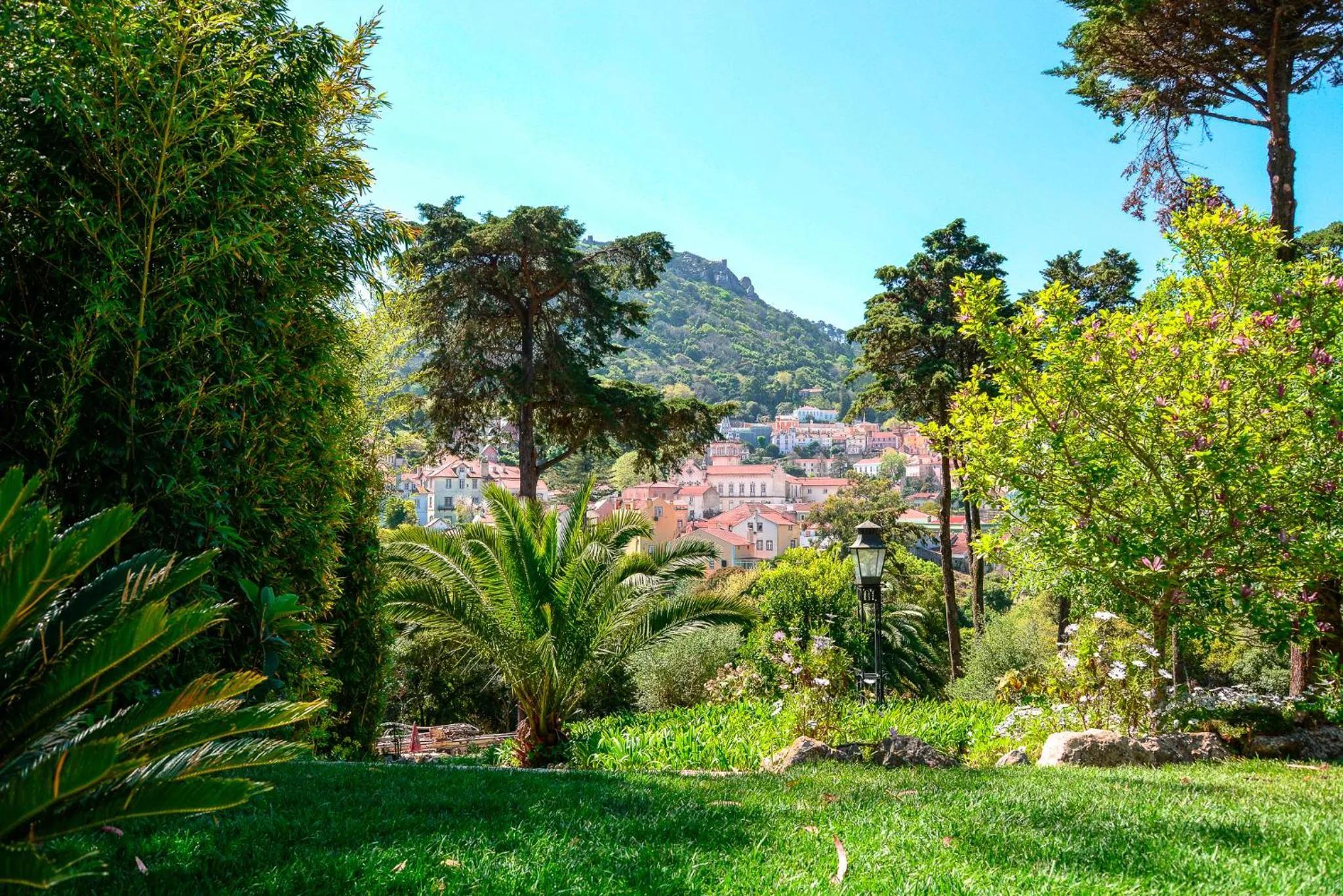 Natural landscape in Sintra Marmoris Palace