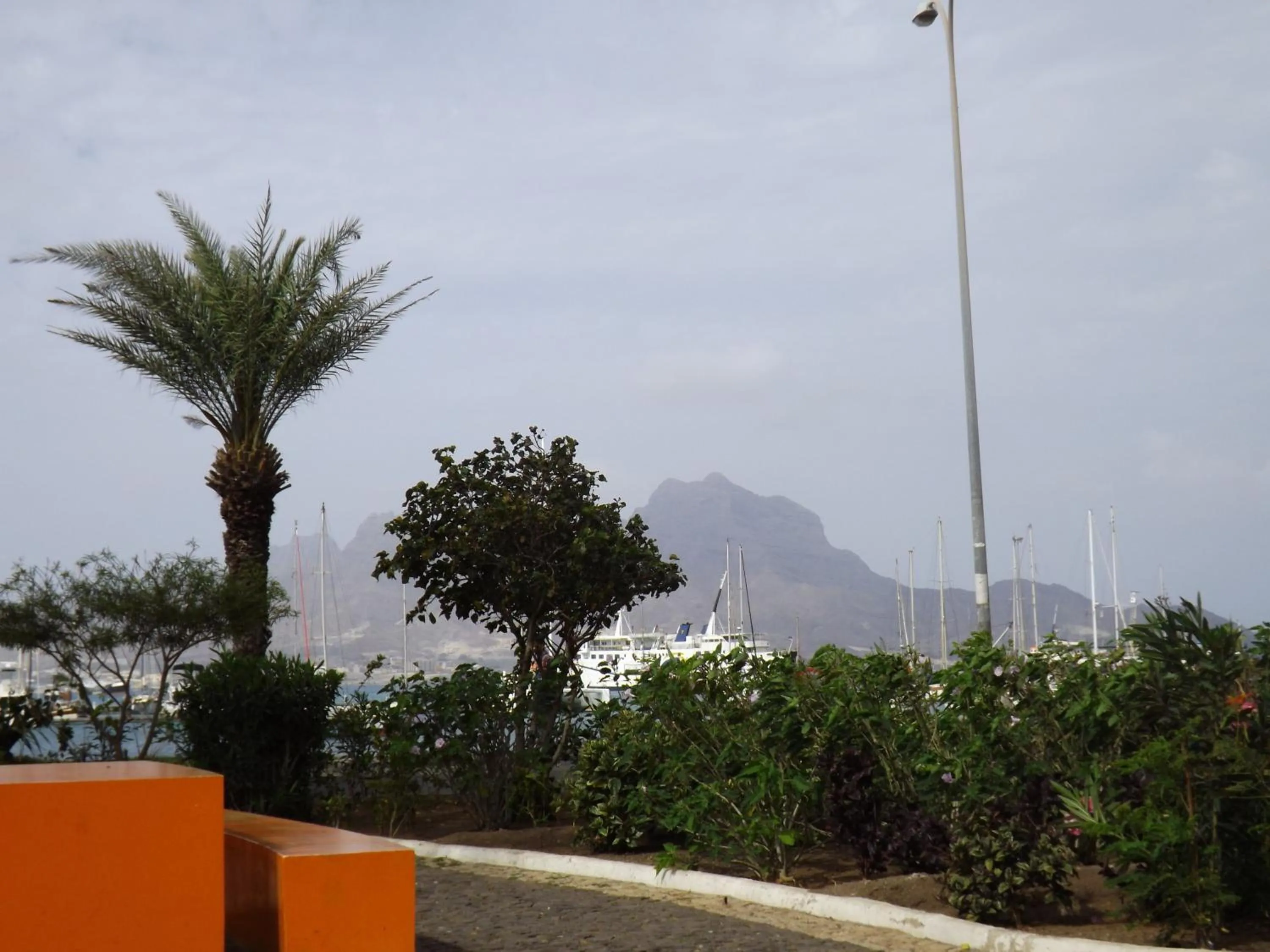 Garden in Aparthotel Avenida