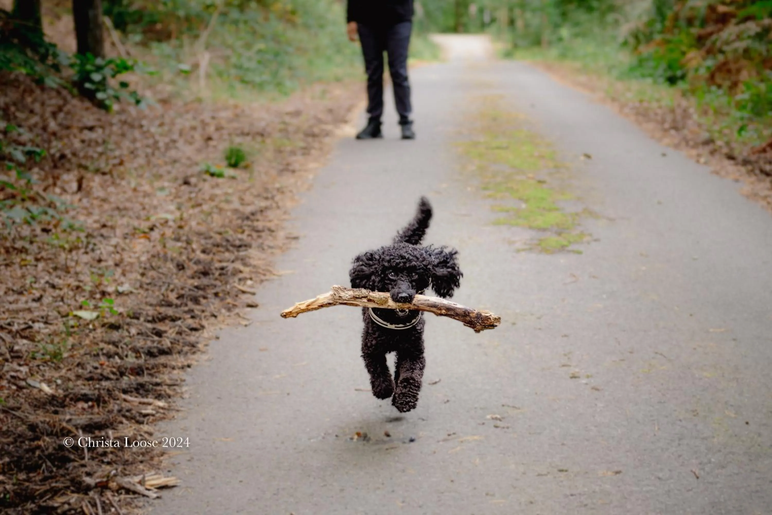 Hotel und Restaurant Sackwitzer Mühle