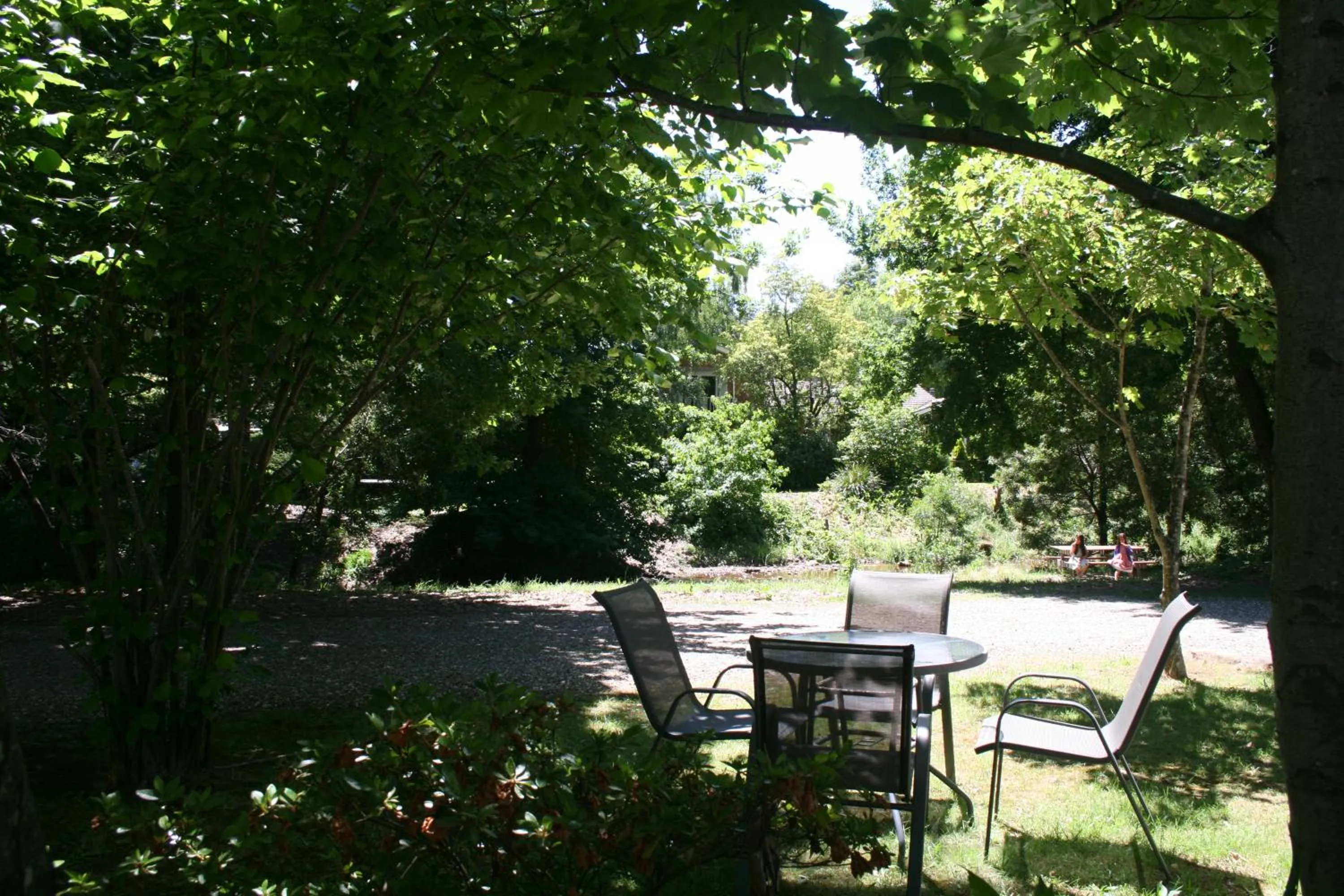 Garden view in Elm Lodge Bright