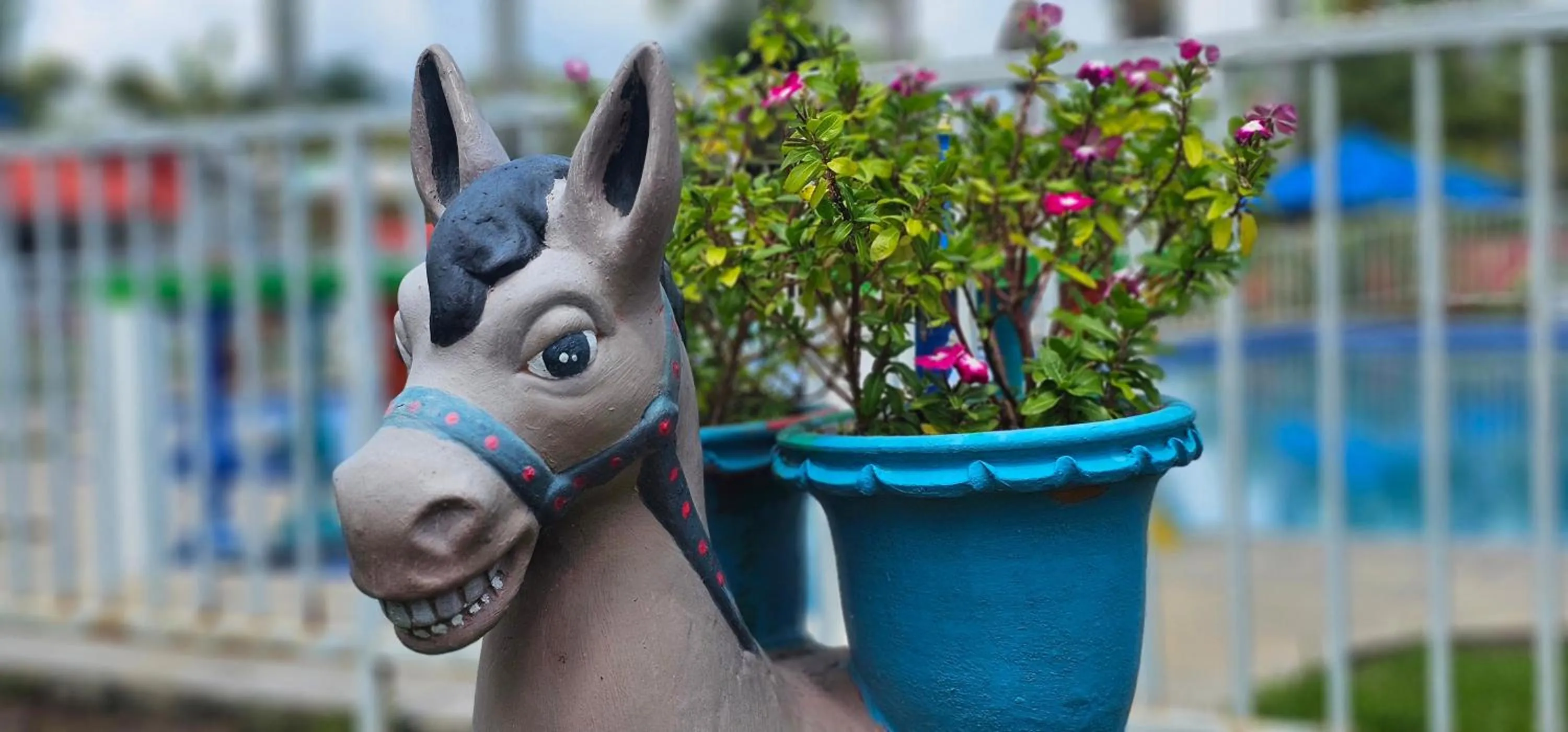 Garden in Cabañas Cafeteras Cerritos
