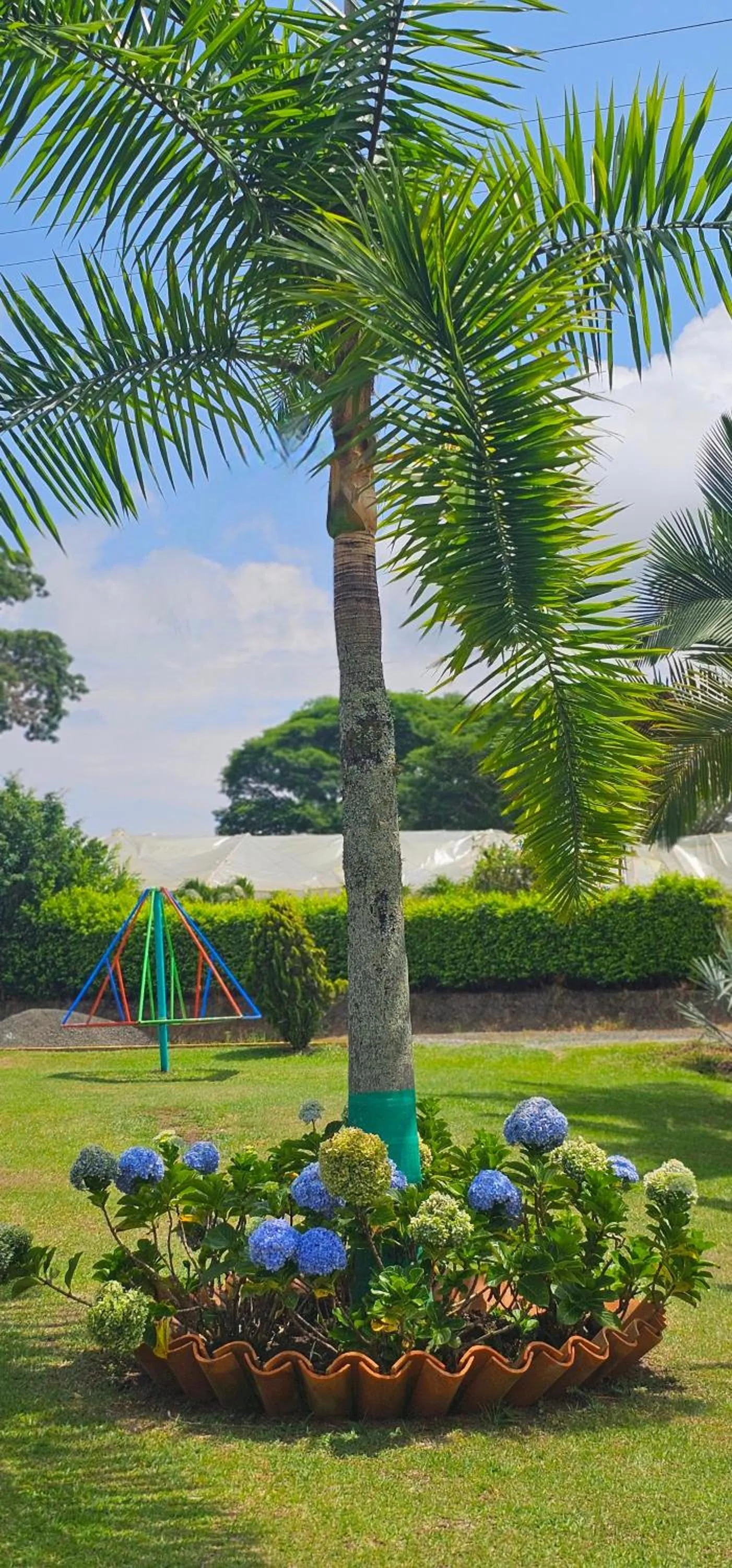 Natural landscape in Cabañas Cafeteras Cerritos