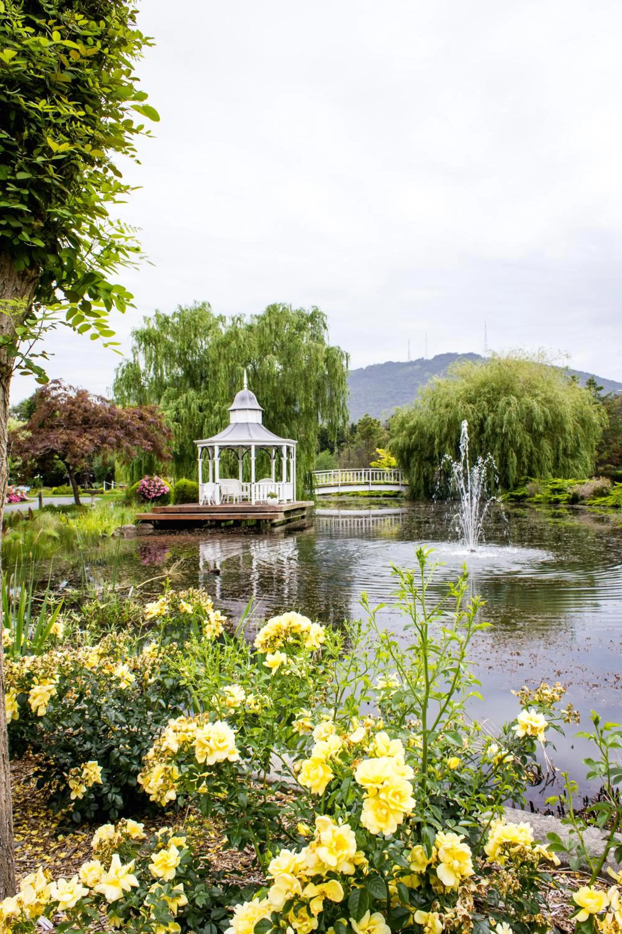 Facade/entrance in Lakeside Cottage Luxury B&B