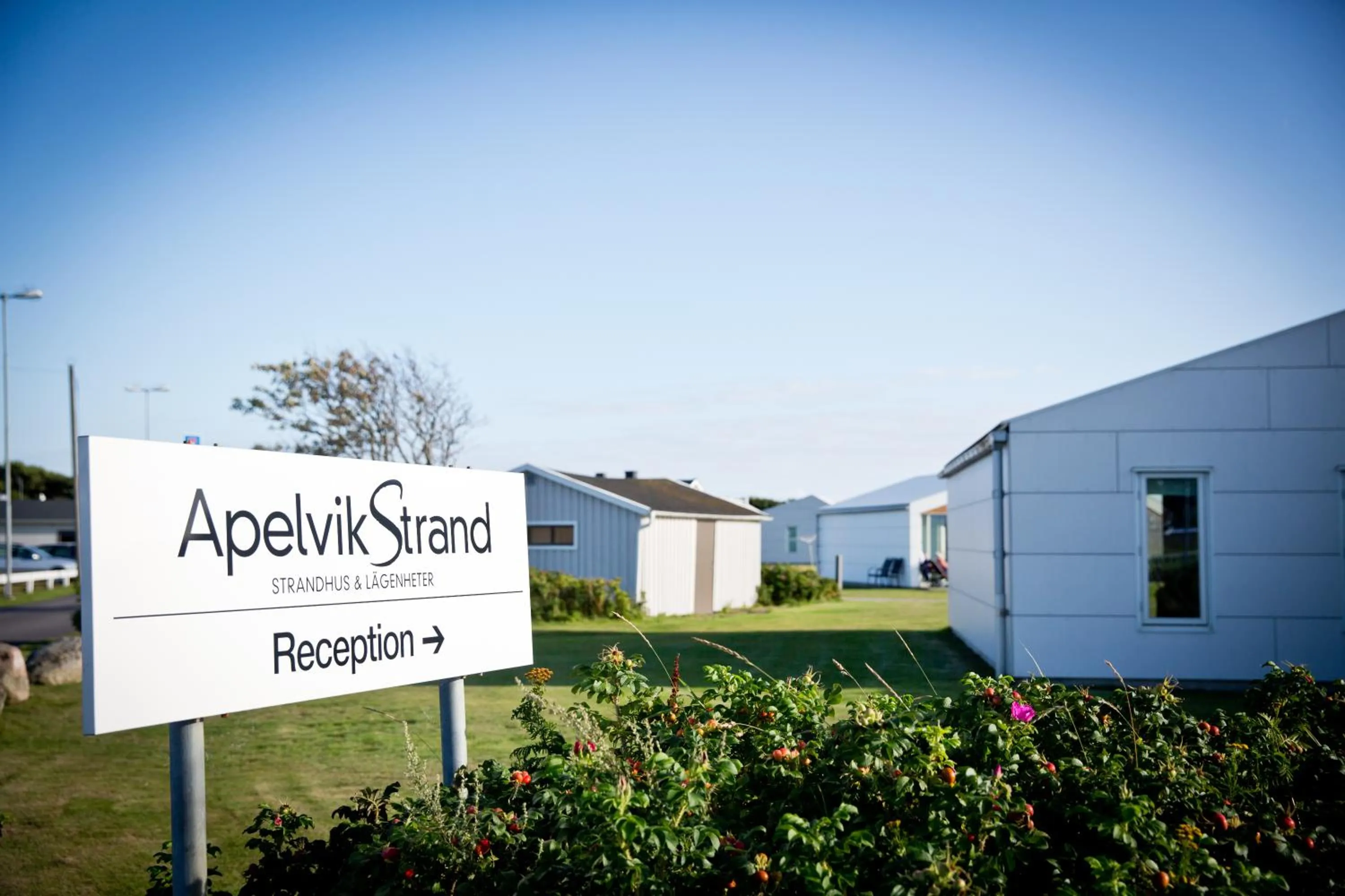 Other in Apelvikstrand