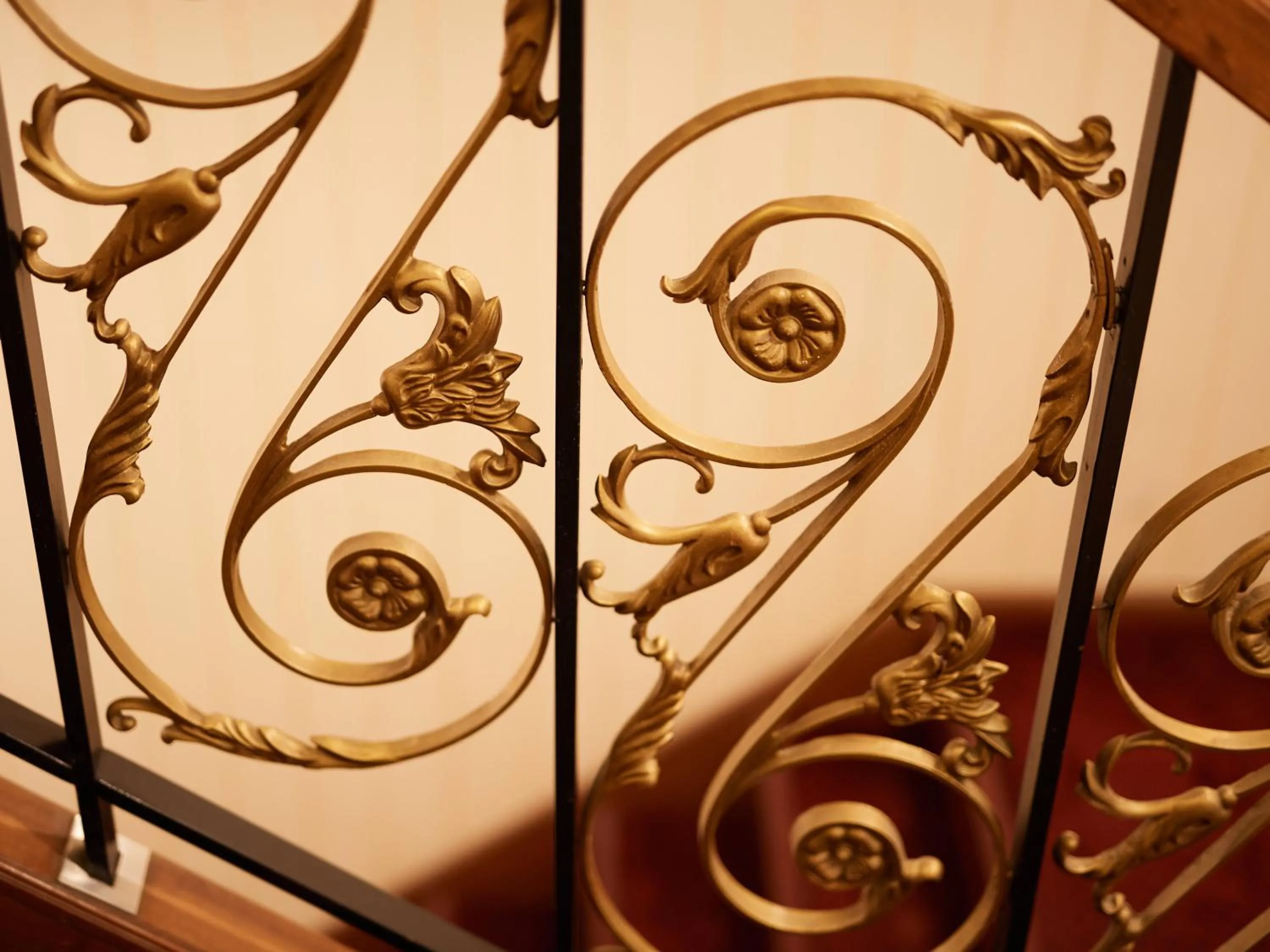 Area and facilities in ecoHotel