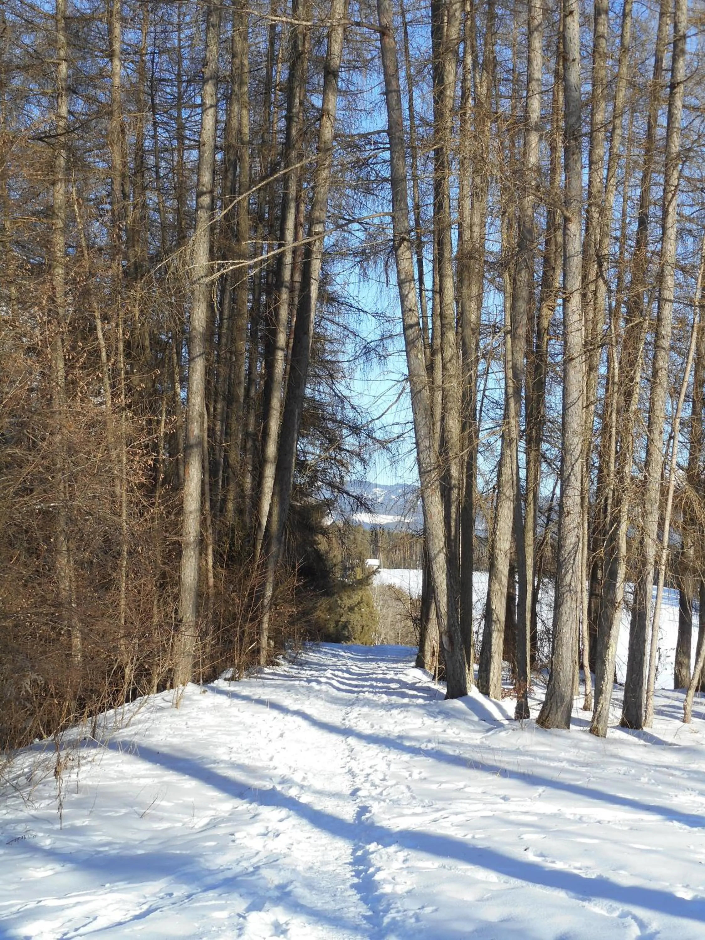 Winter in Pension Sonnenhof