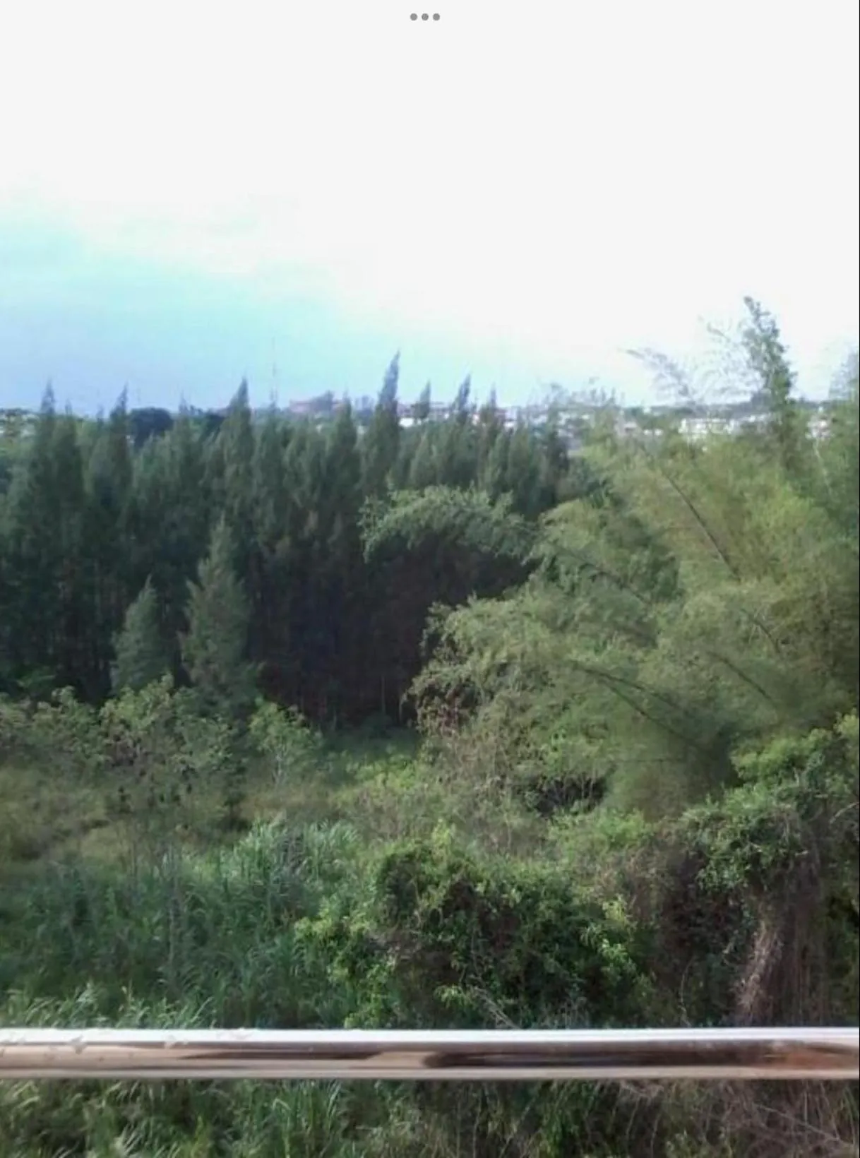 View (from property/room) in Perfect Place Hotel