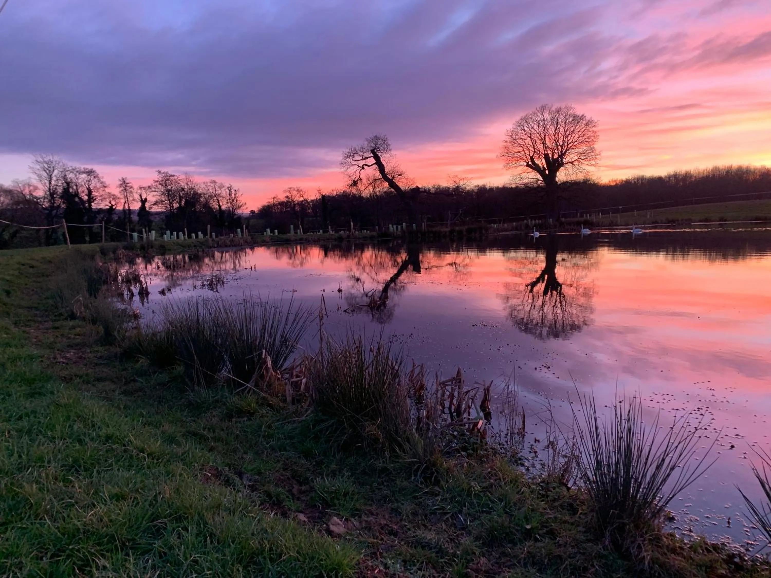 Natural landscape in The Lighthouse