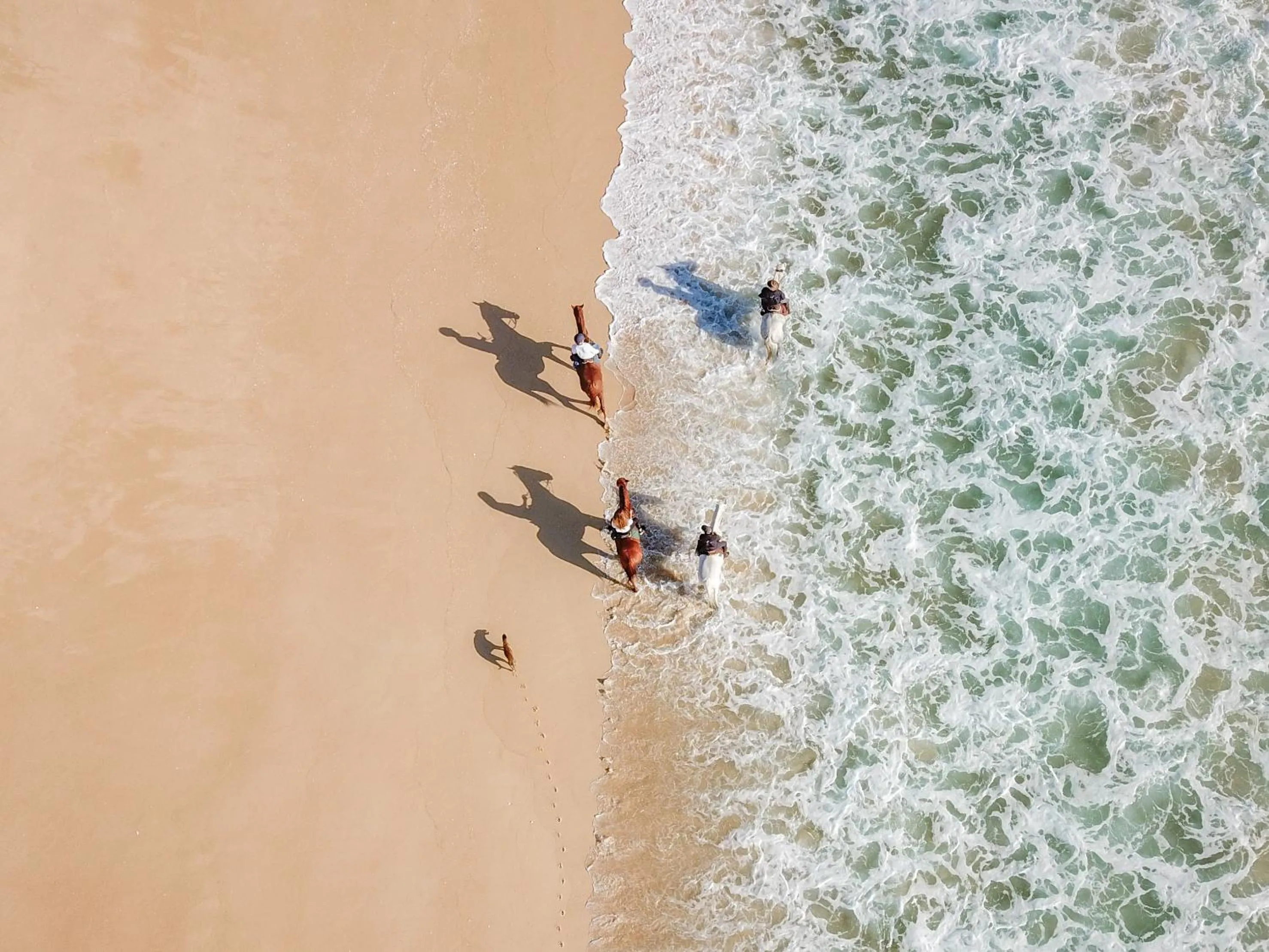 Activities in Sublime Comporta Country Retreat & SPA