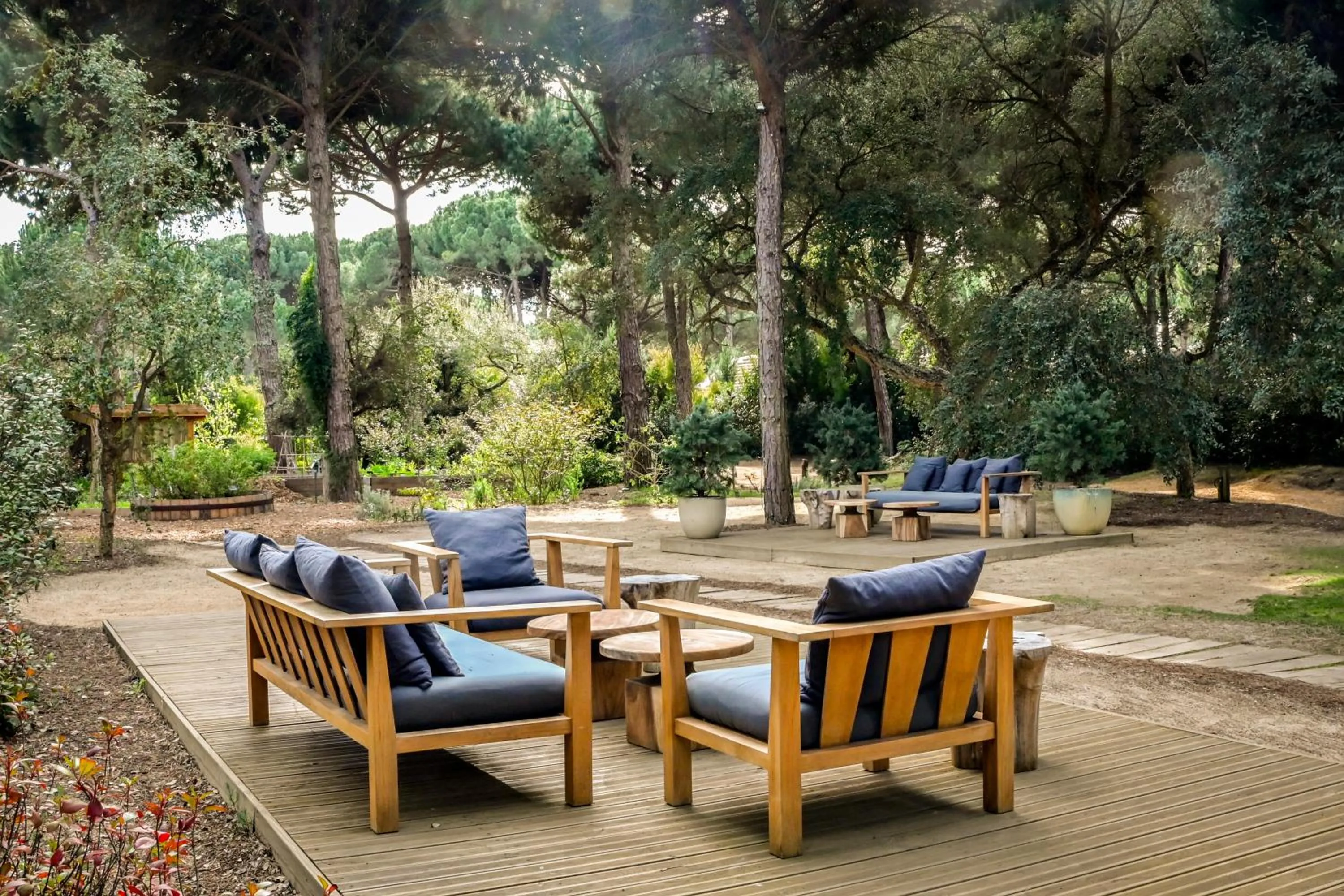 Garden in Sublime Comporta Country Retreat & SPA