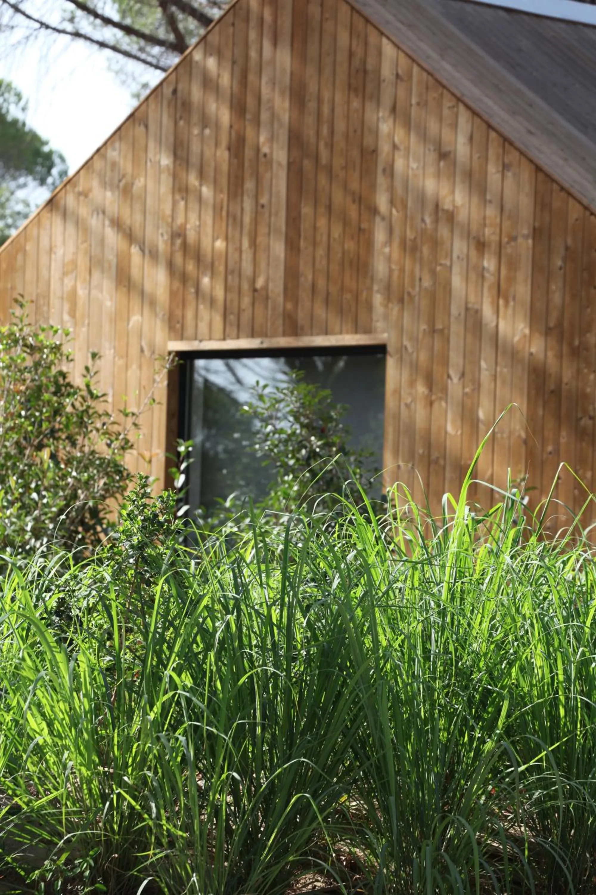 Garden in Sublime Comporta Country Retreat & SPA