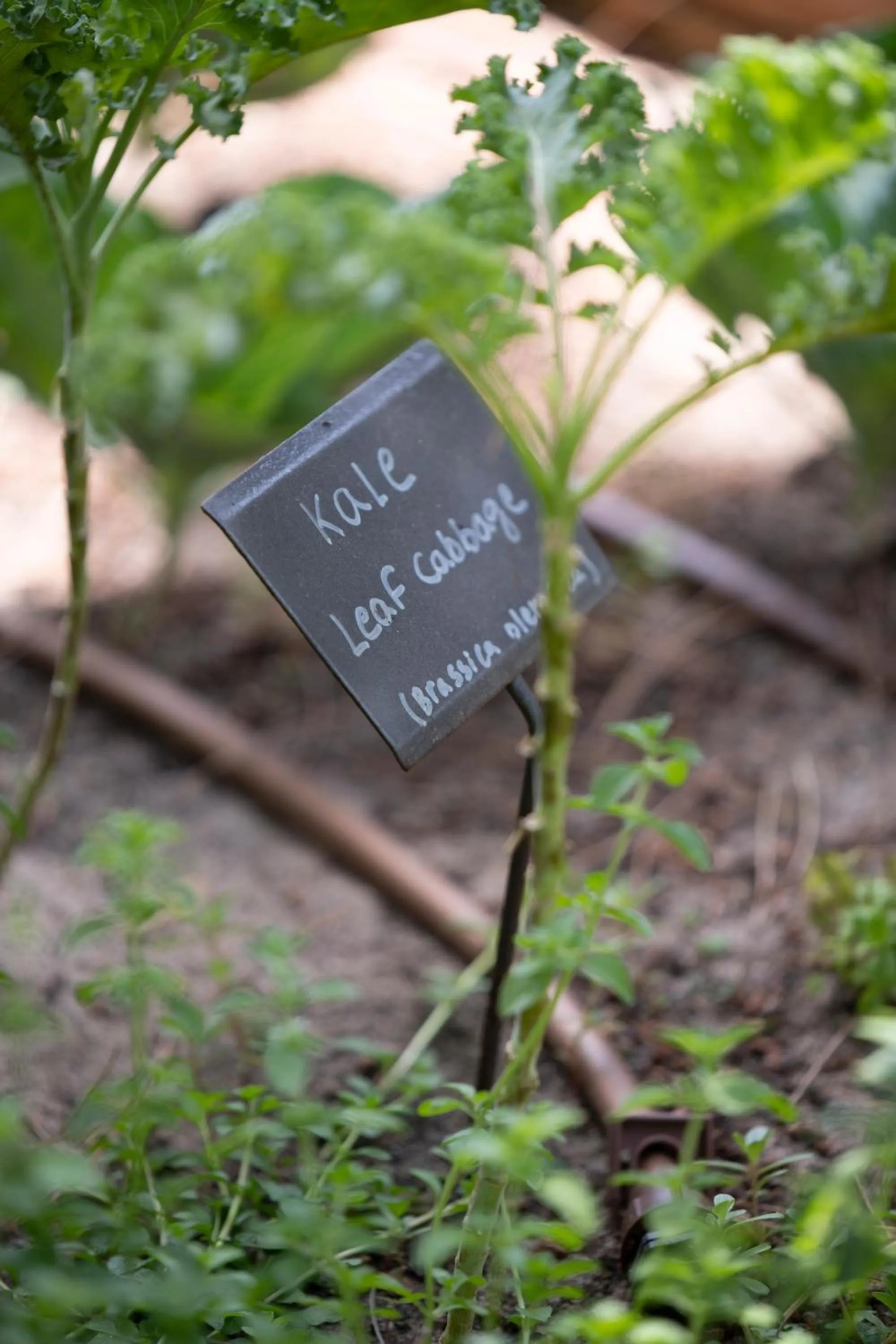 Activities in Sublime Comporta Country Retreat & SPA