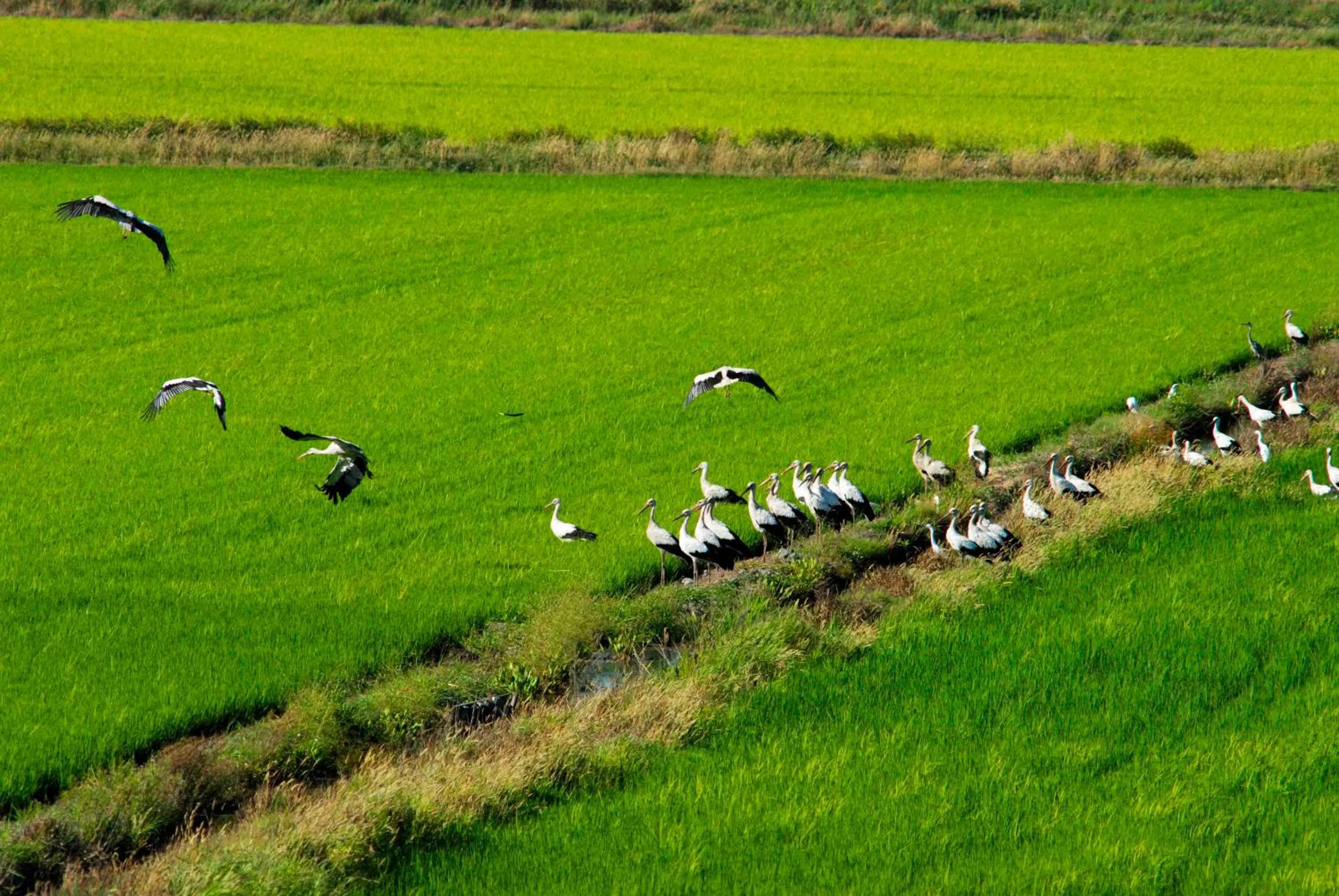 Natural landscape in Sublime Comporta Country Retreat & SPA