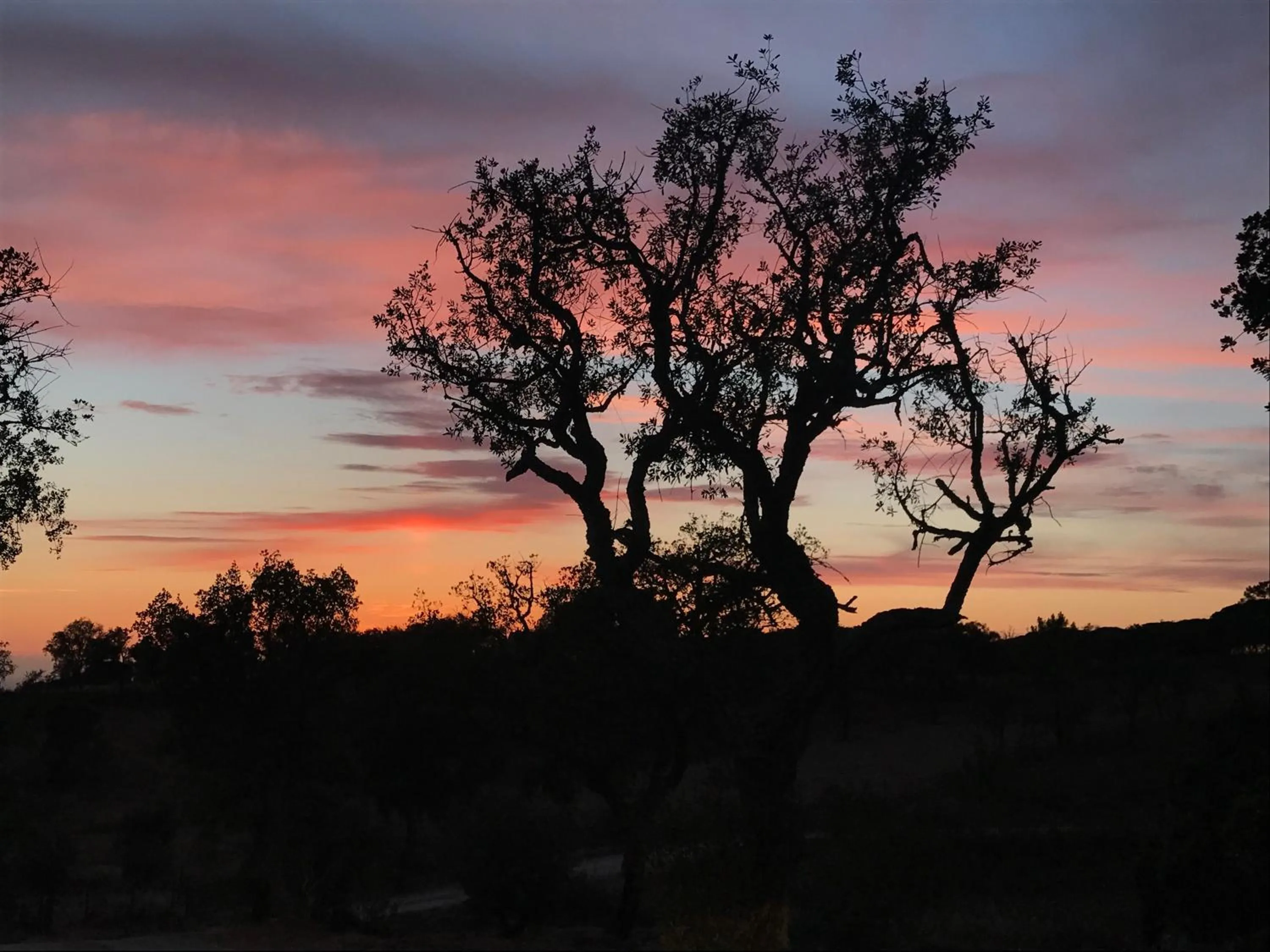 Natural landscape in Sublime Comporta Country Retreat & SPA