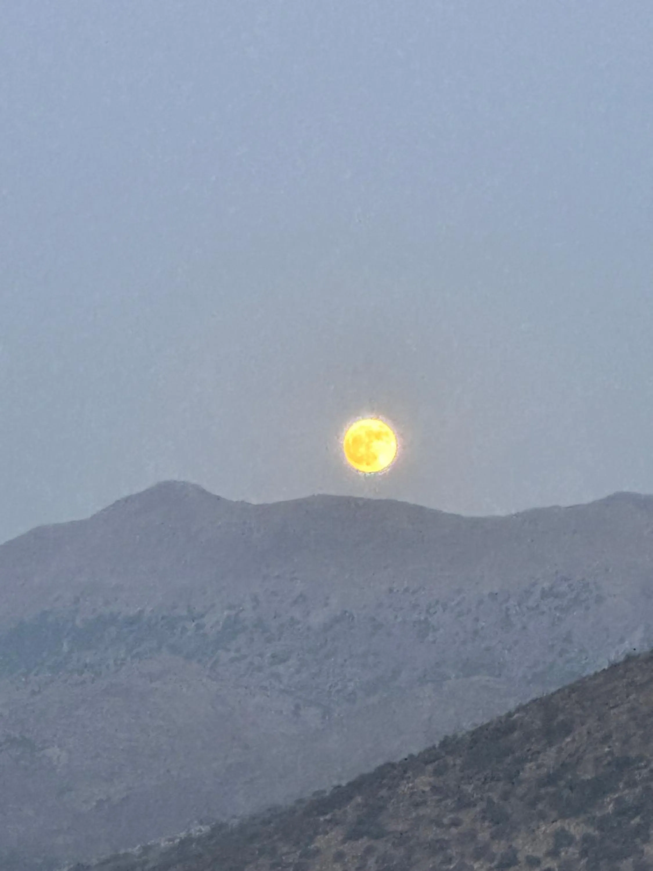 Day in Blue Horizon Apartments