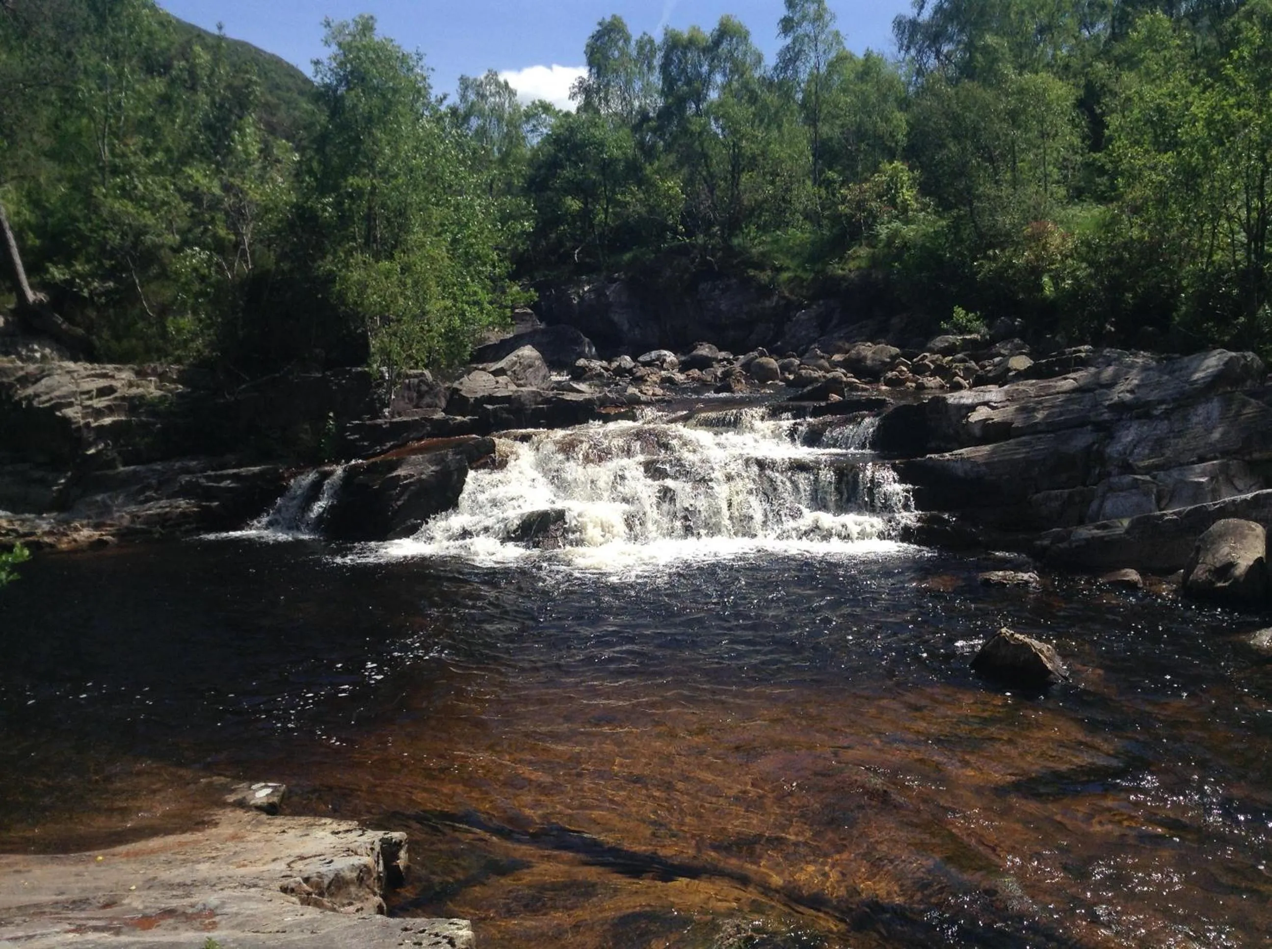 Area and facilities in MacDonald Hotel & Cabins
