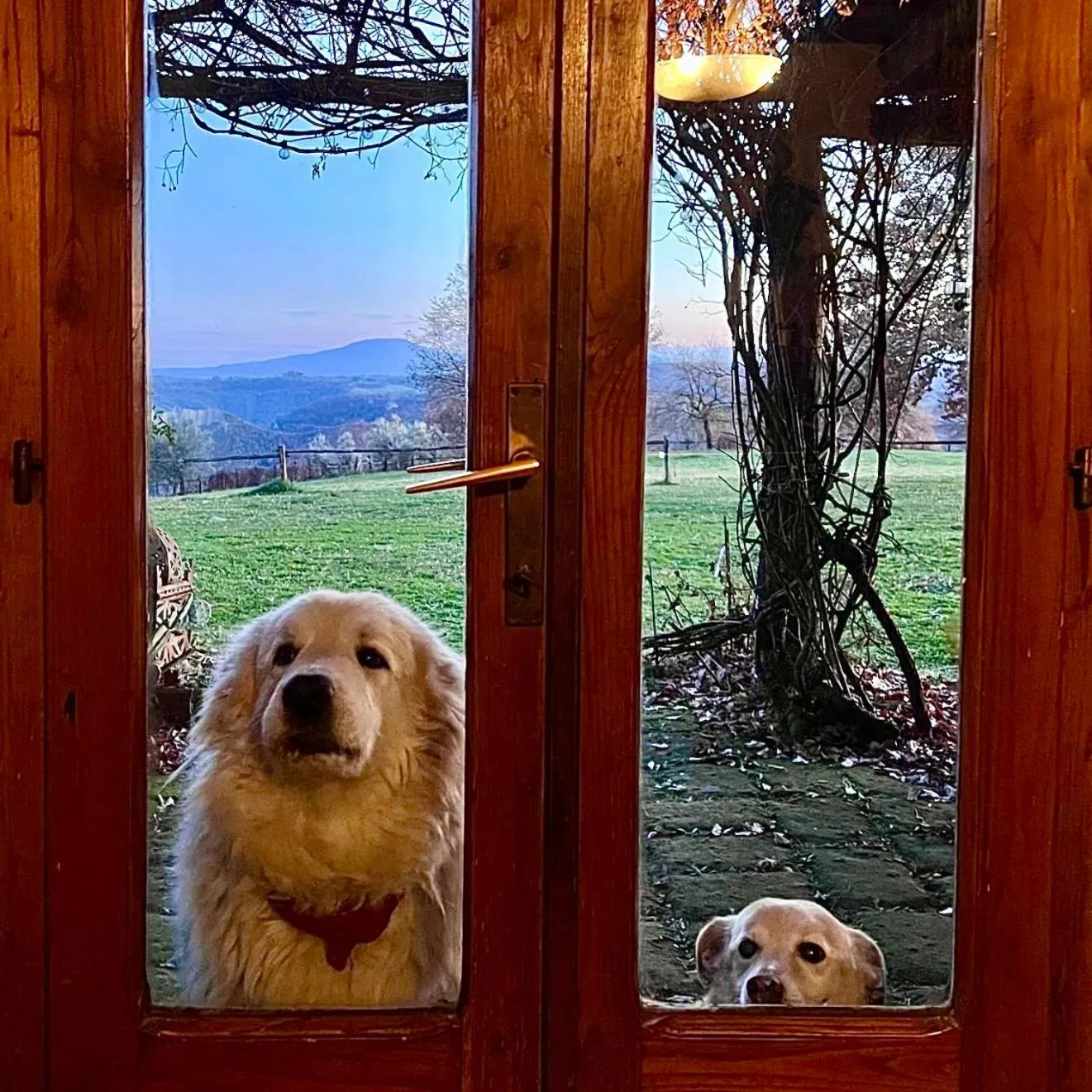 Bed And Breakfast Dopo Il Settimo Cielo