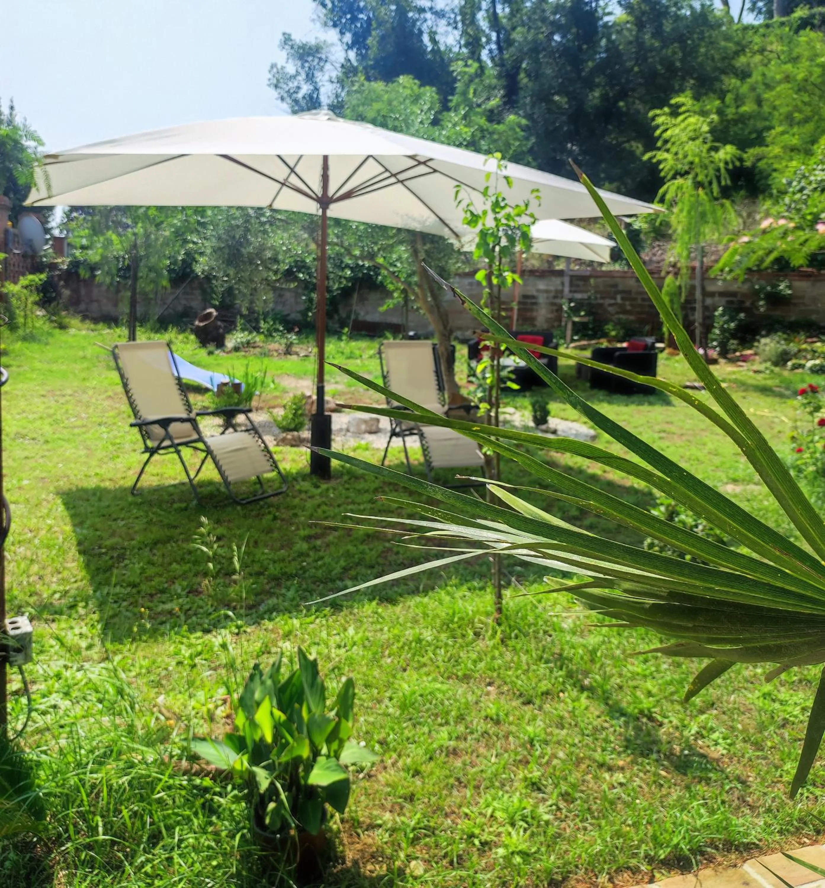 Garden in Villa Alberici