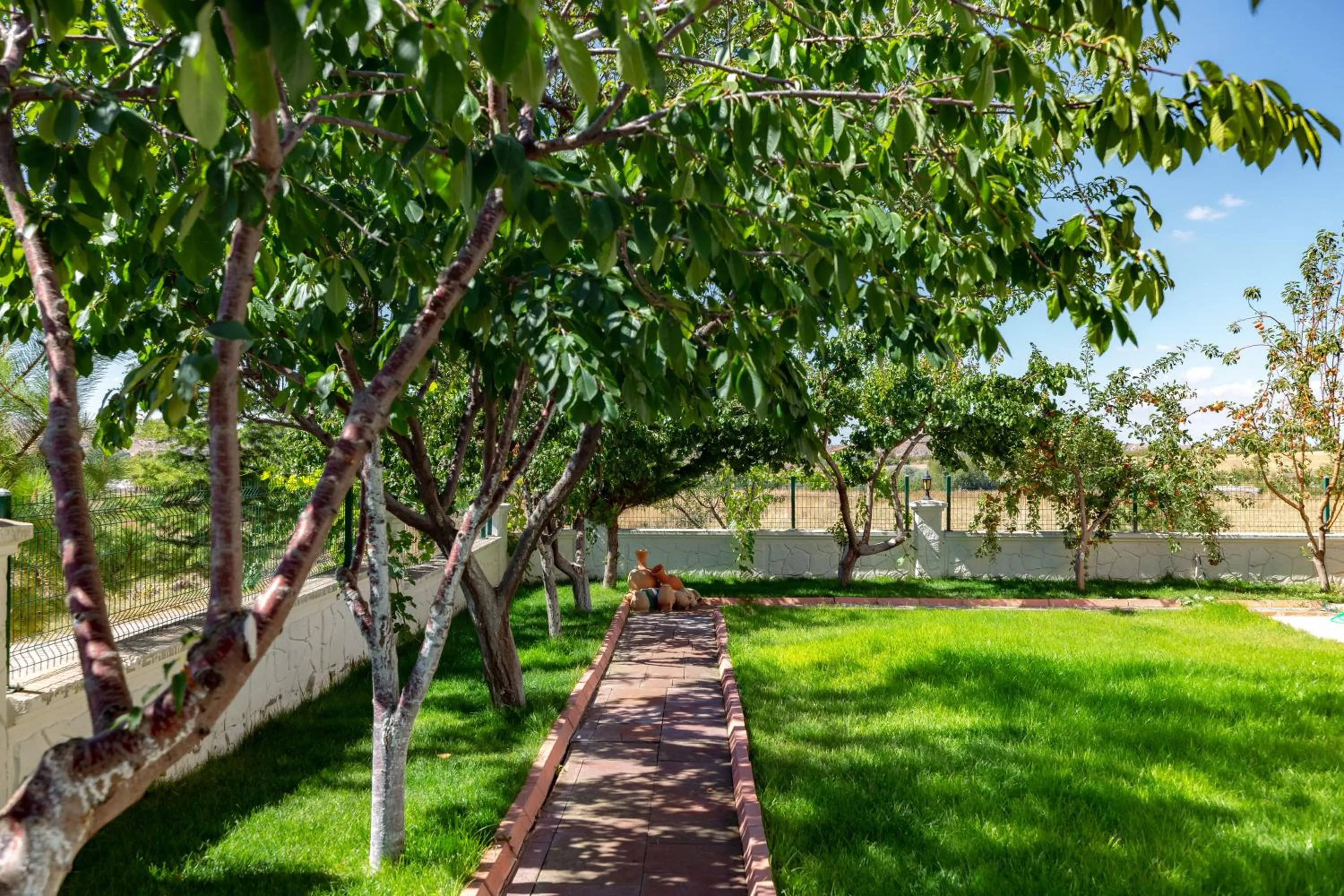 Garden in Cappadocia Villa Comfort