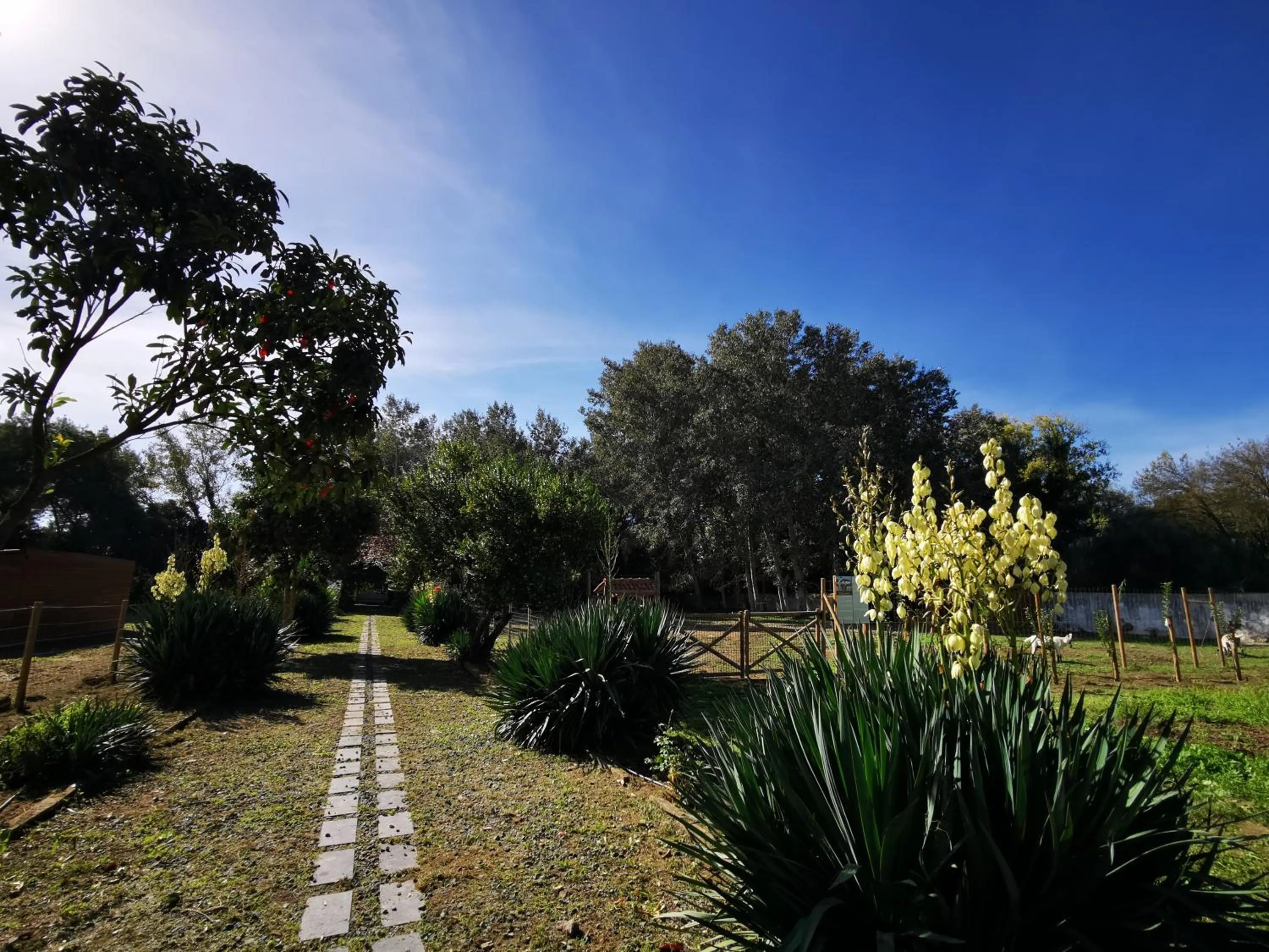 Garden in Quinta do Louredo - Évora