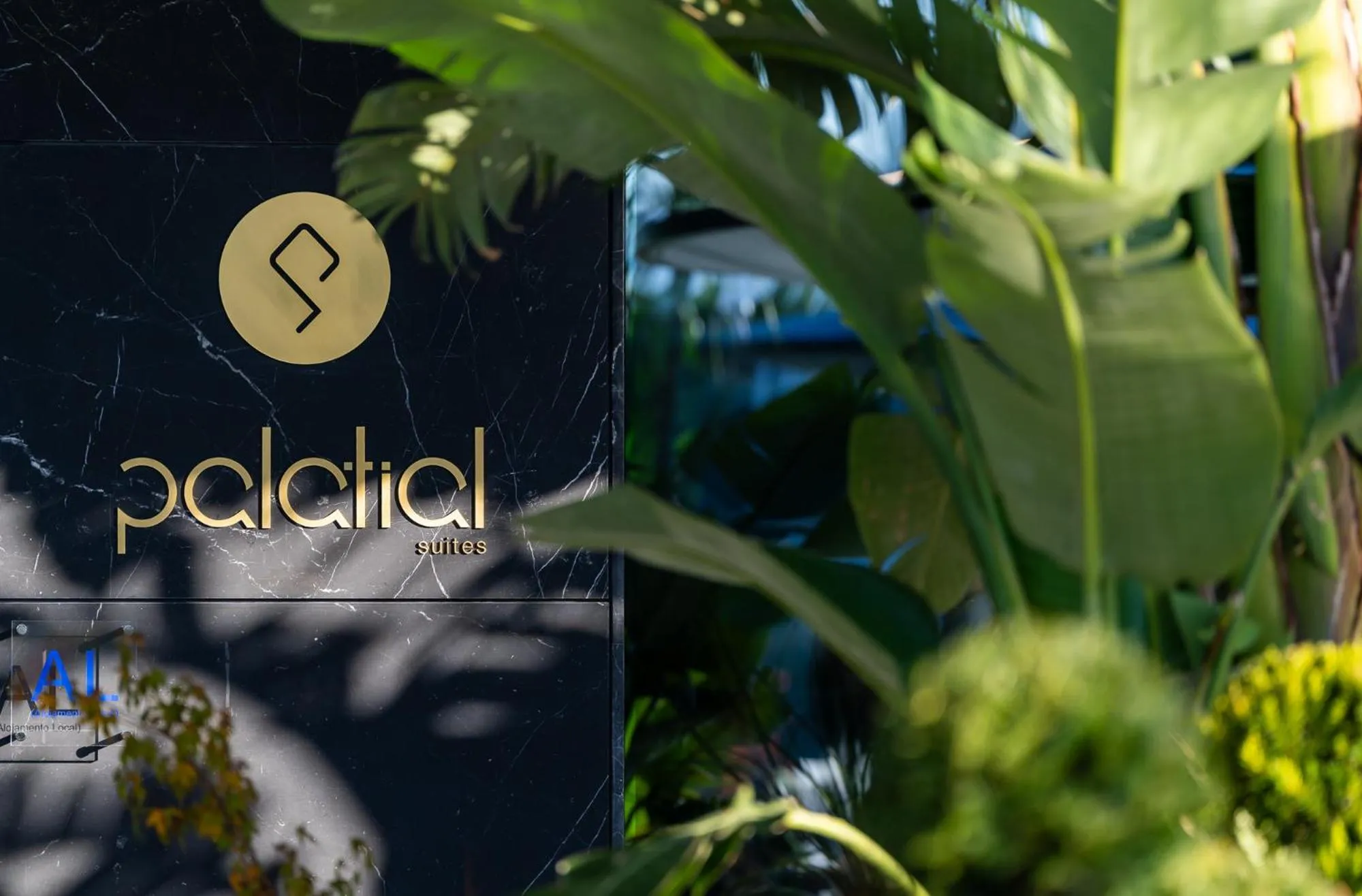 Day in Palatial Suites