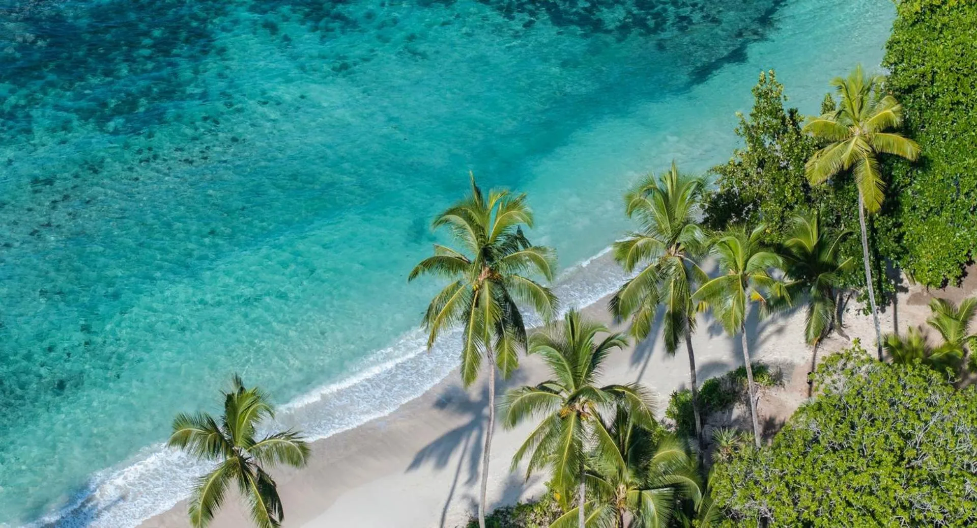 Natural landscape in Avani+ Barbarons Seychelles