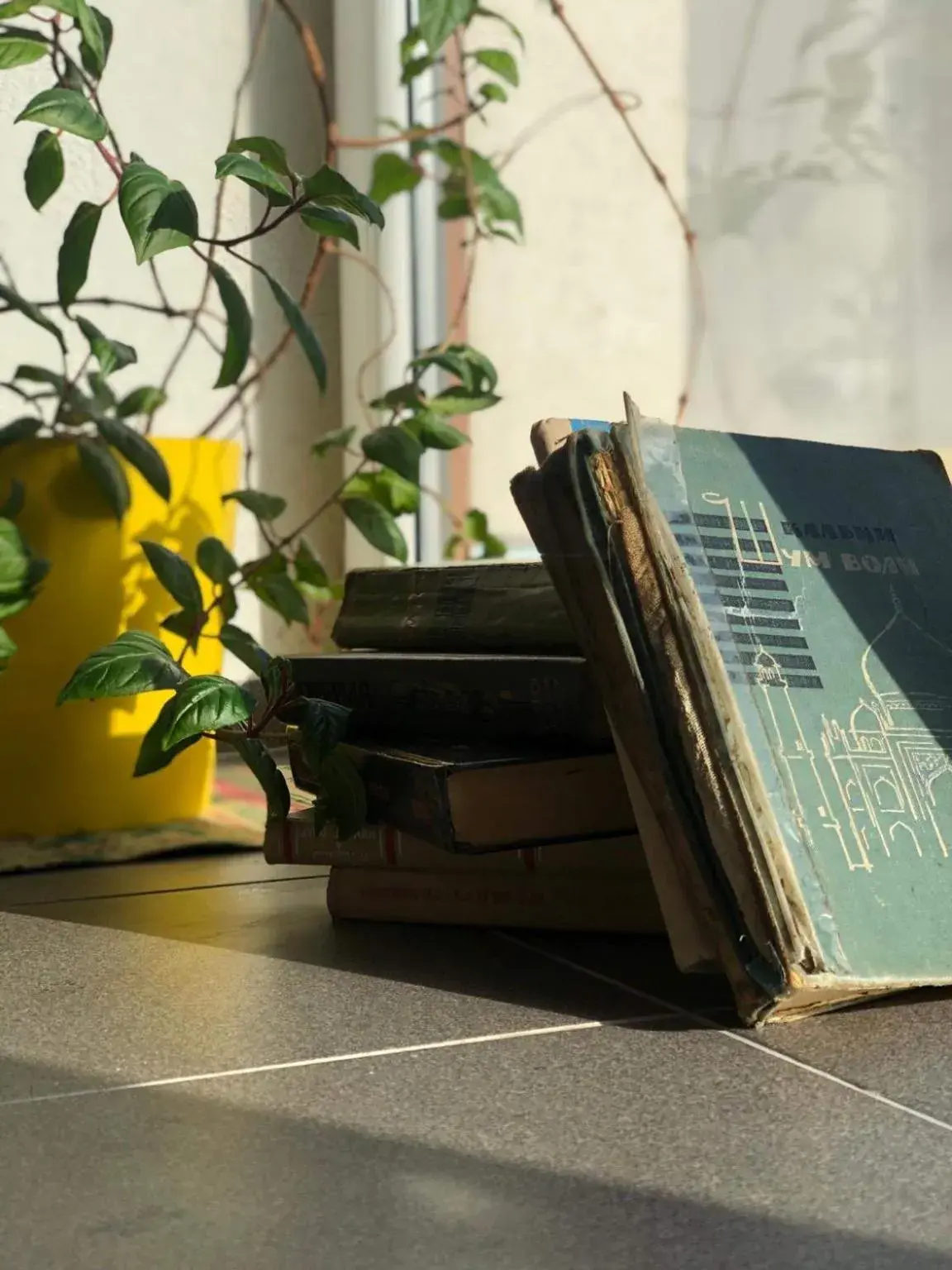 Natalex MicroLofts Natalex MicroLofts