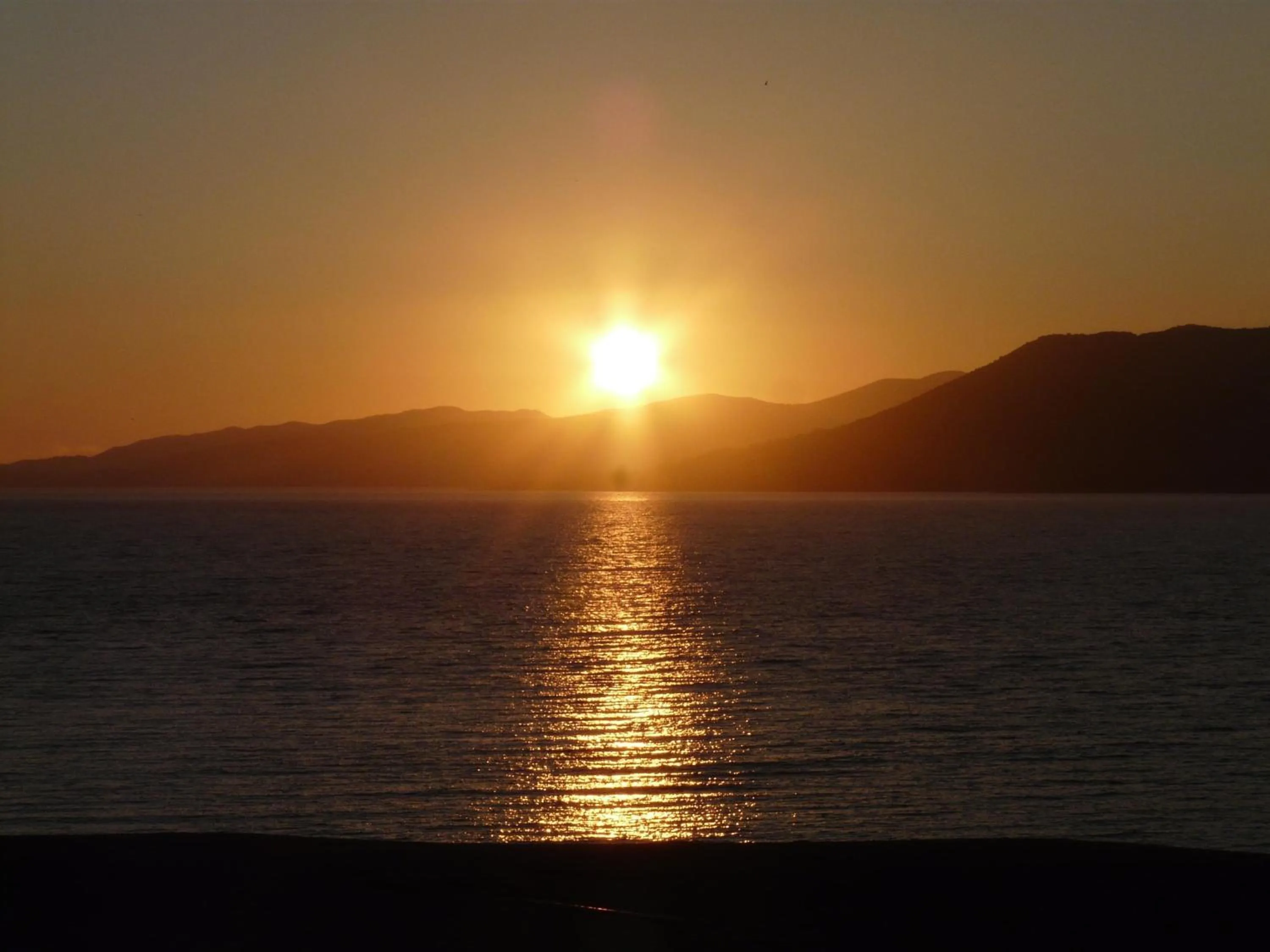 Area and facilities in Hôtel Beach