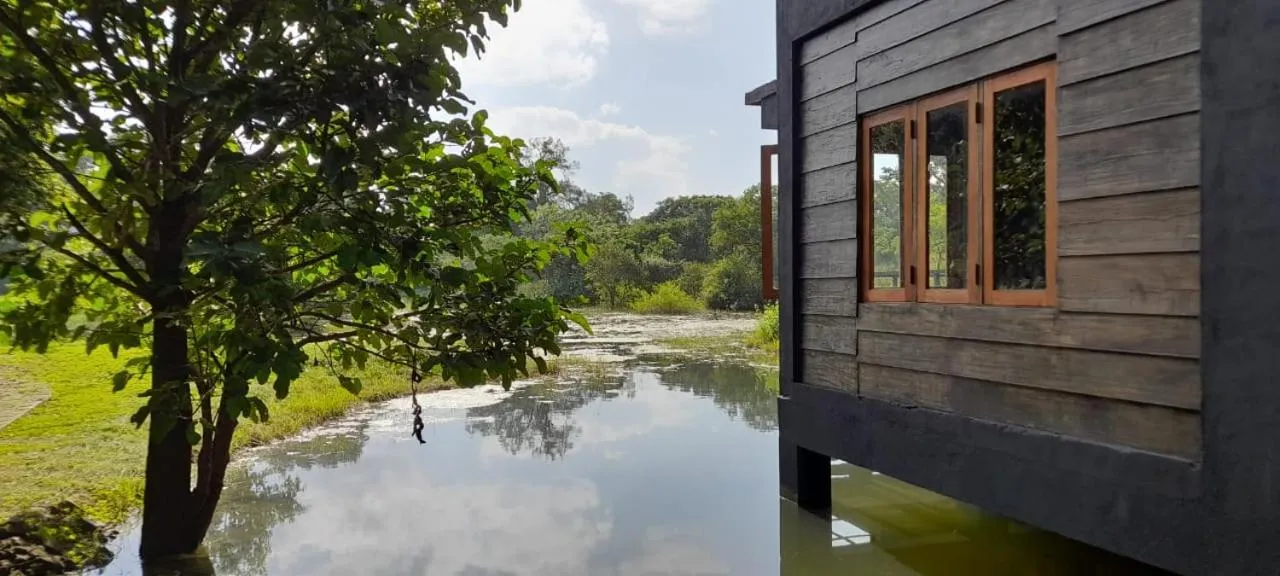 Natural landscape in Sigiri Vananthara