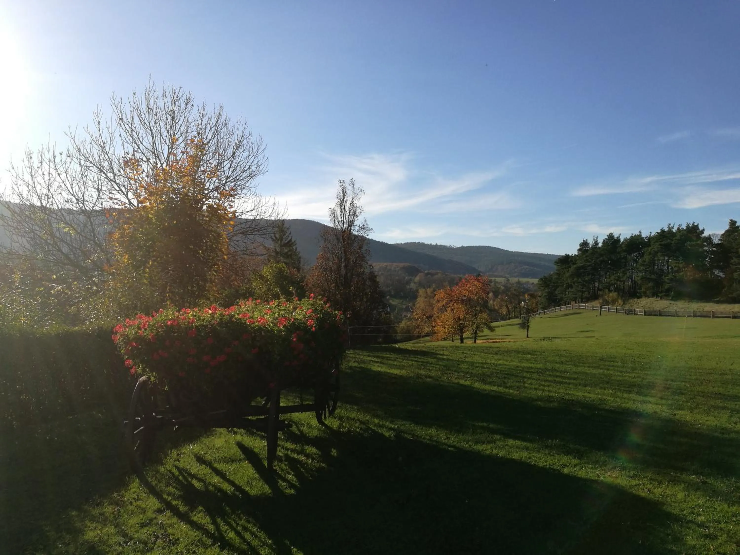Garden in Hotel & Restaurant Bergfried