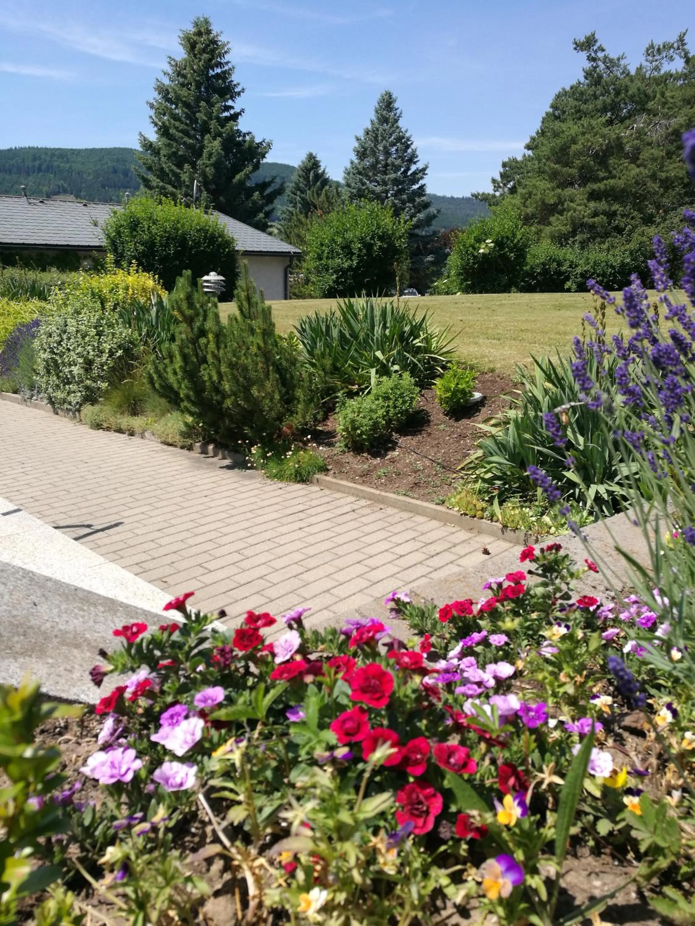 Garden in Hotel & Restaurant Bergfried