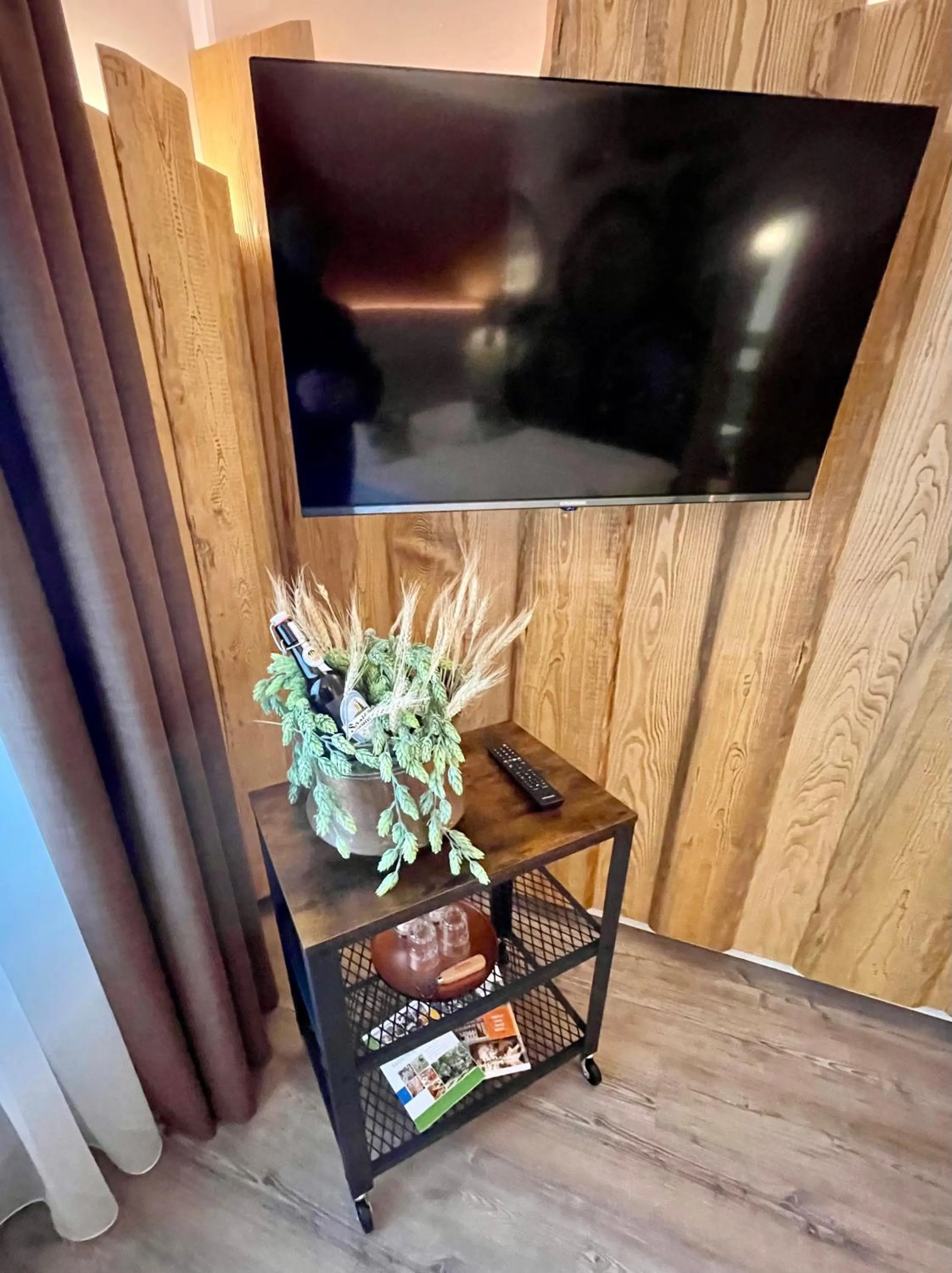 TV and multimedia in Hotel & Restaurant Bergfried