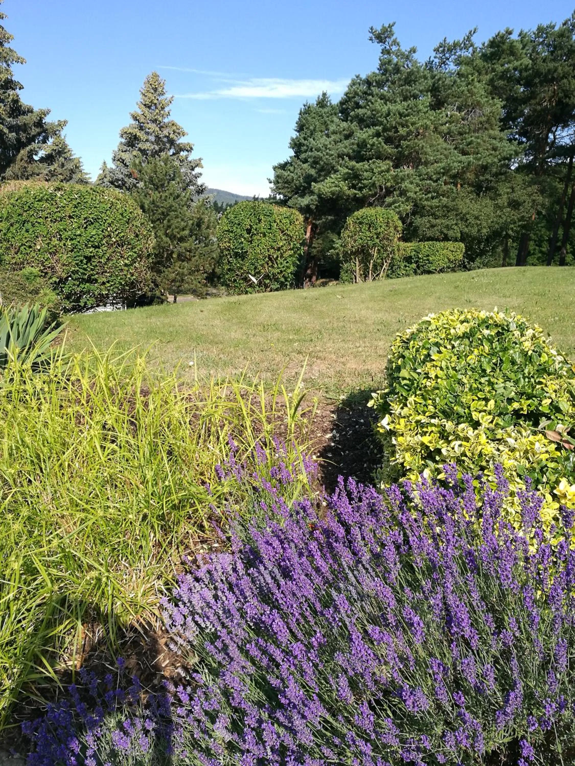 Garden in Hotel & Restaurant Bergfried