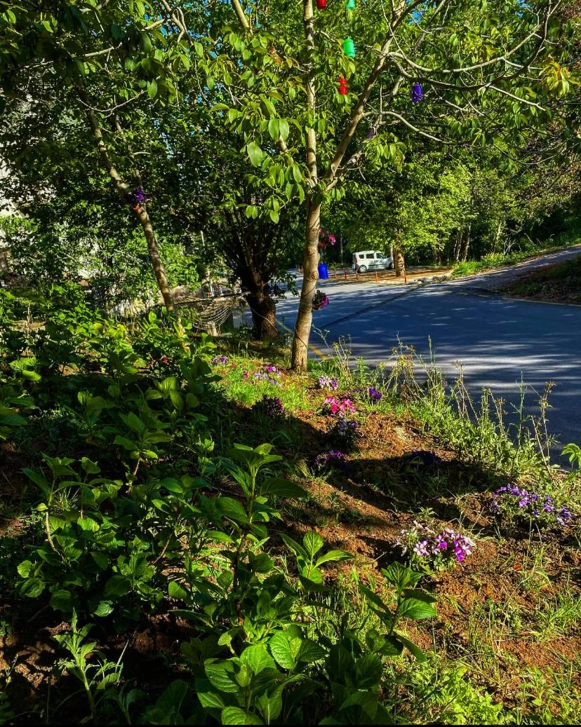 Kapri Termal Hotel & Kaplica Yalova