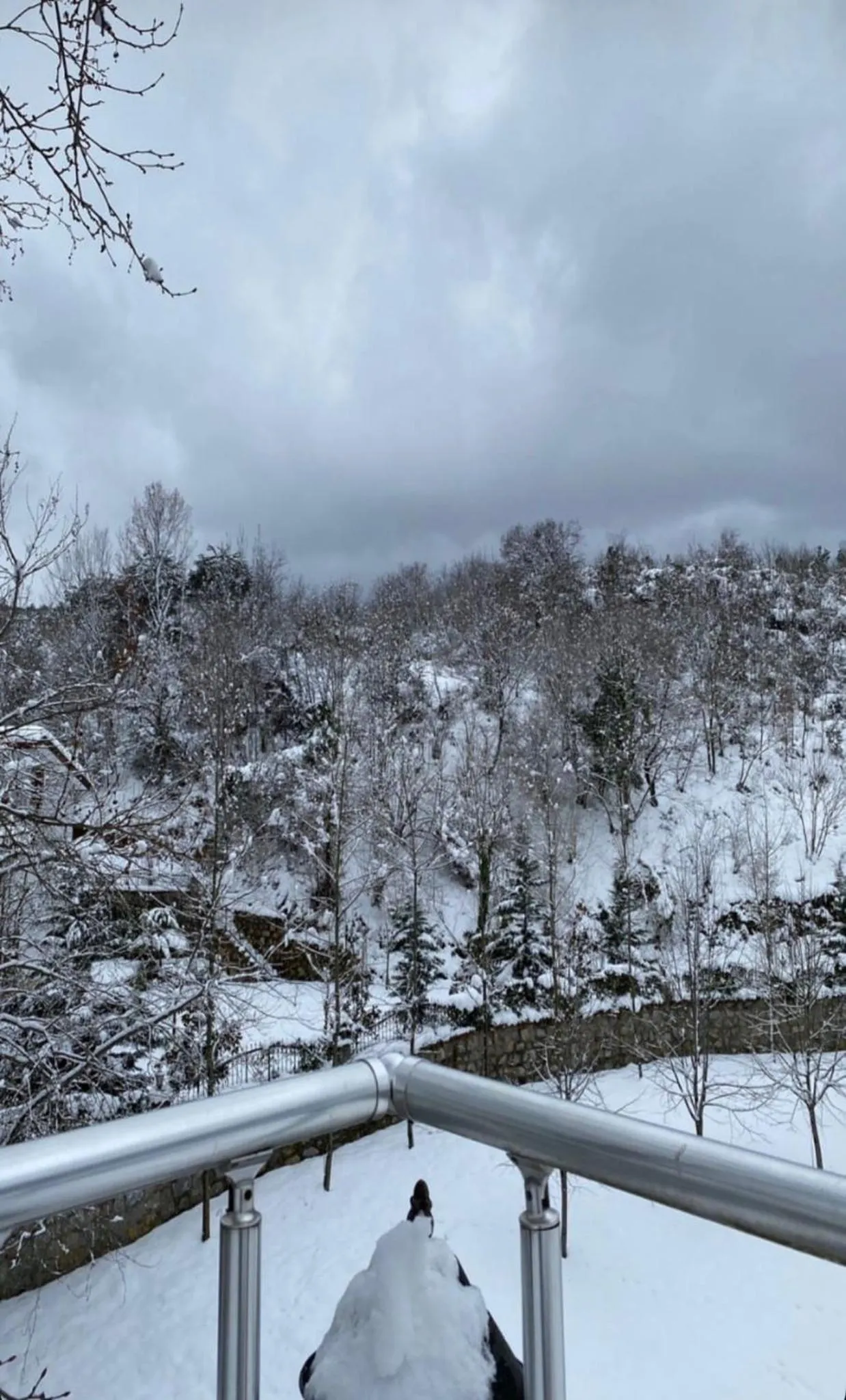 Kapri Termal Hotel & Kaplica Yalova