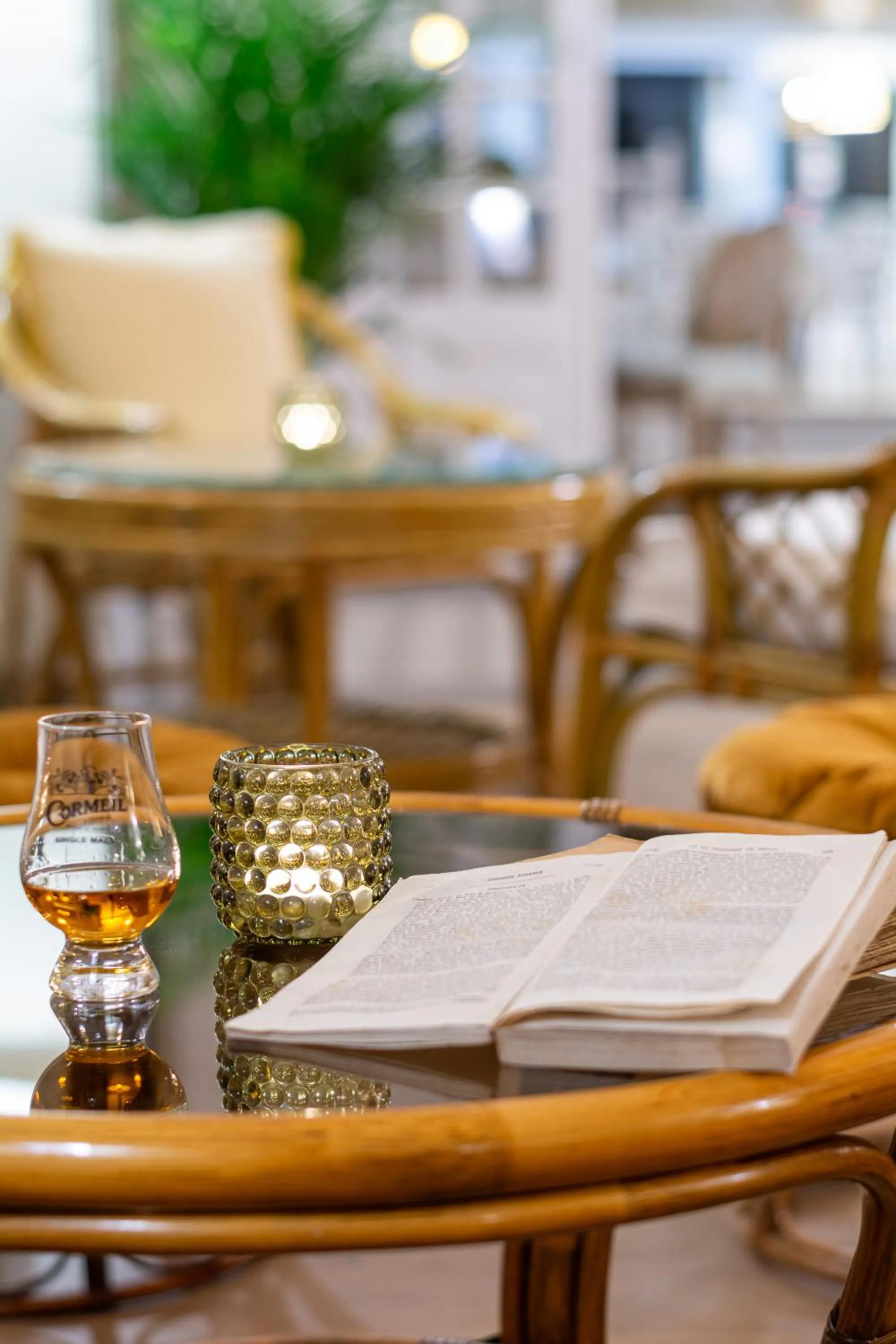 Lounge or bar in Hôtel De La Plage
