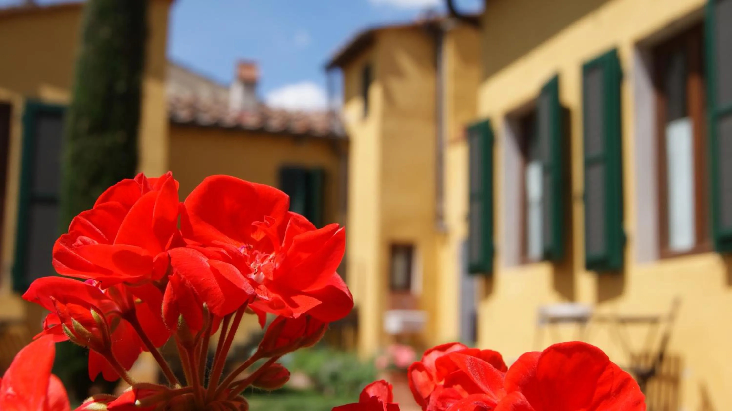 Garden in Al Canto B&B