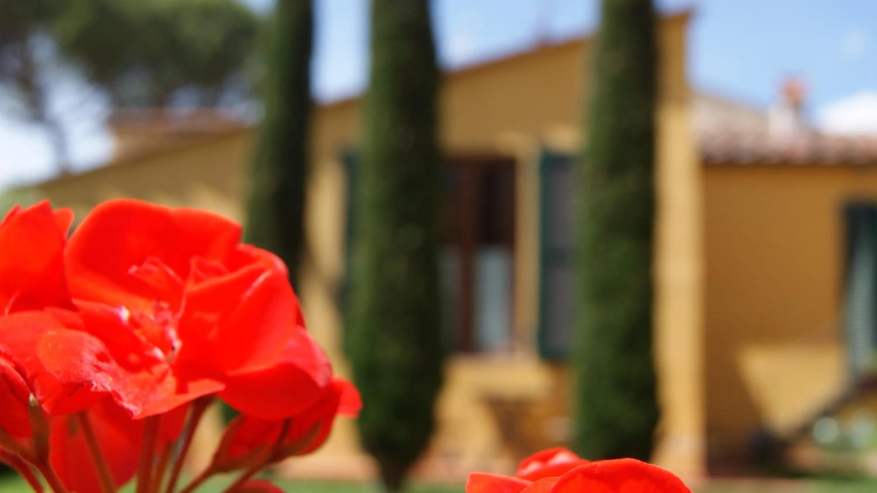 Decorative detail in Al Canto B&B