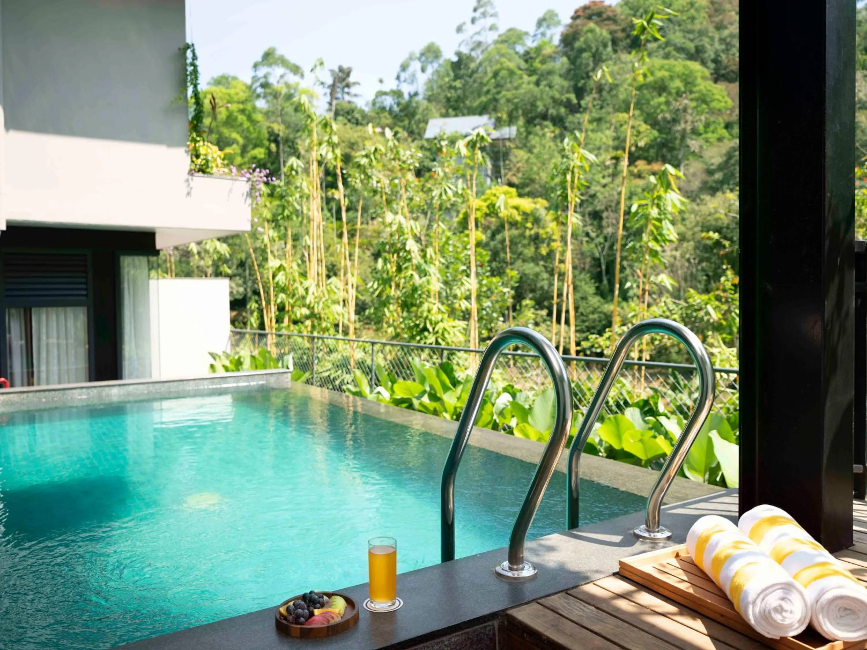 View (from property/room) in Scenic, Munnar - IHCL SeleQtions