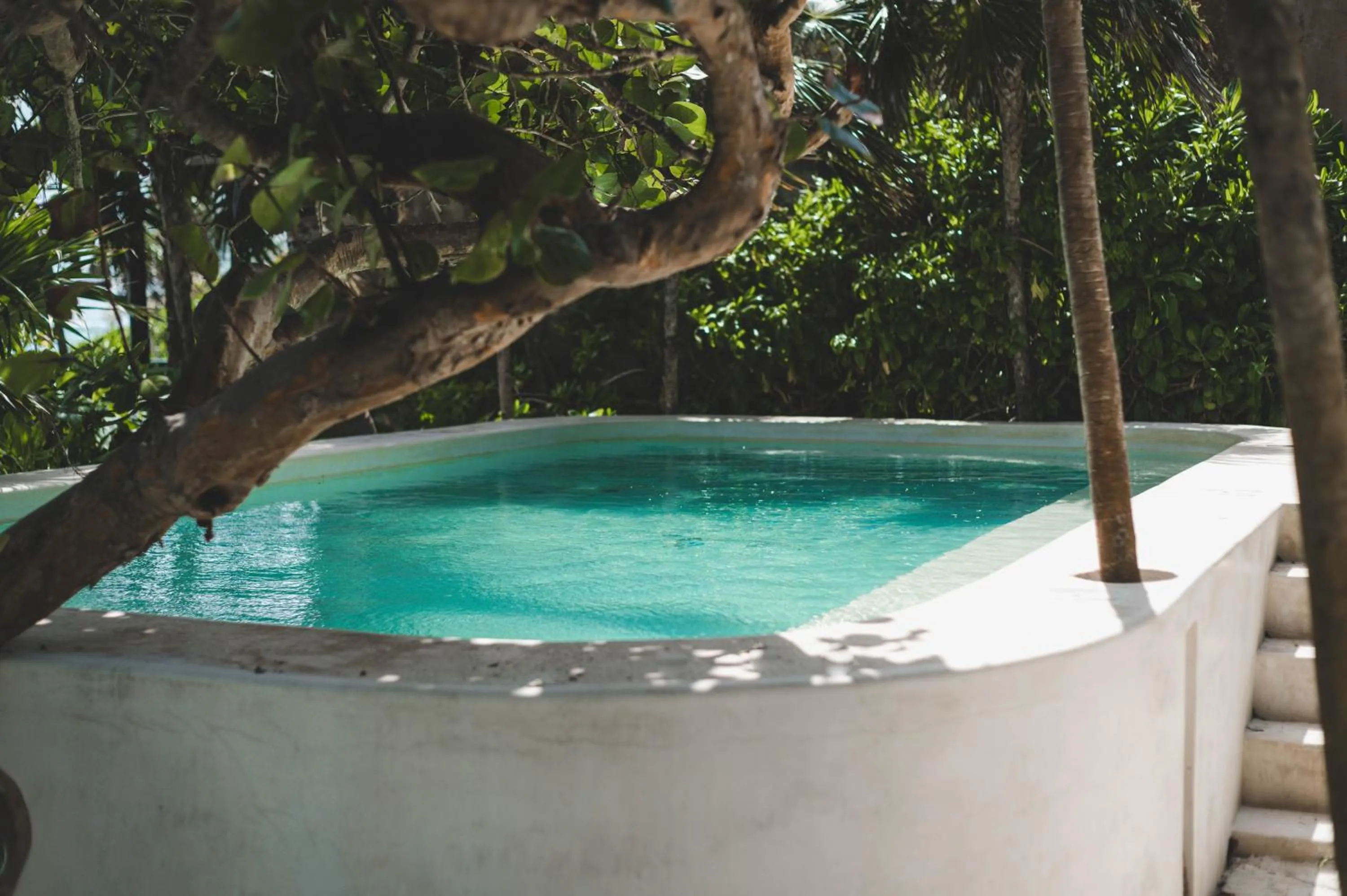 Swimming pool in Diamante K - Inside Tulum National Park
