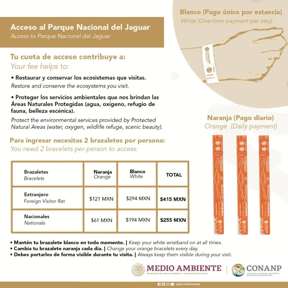 Decorative detail in Diamante K - Inside Tulum National Park